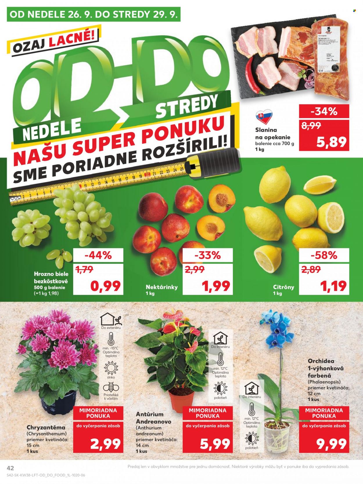 Leták Kaufland - 23.9.2021 - 29.9.2021. Strana 42