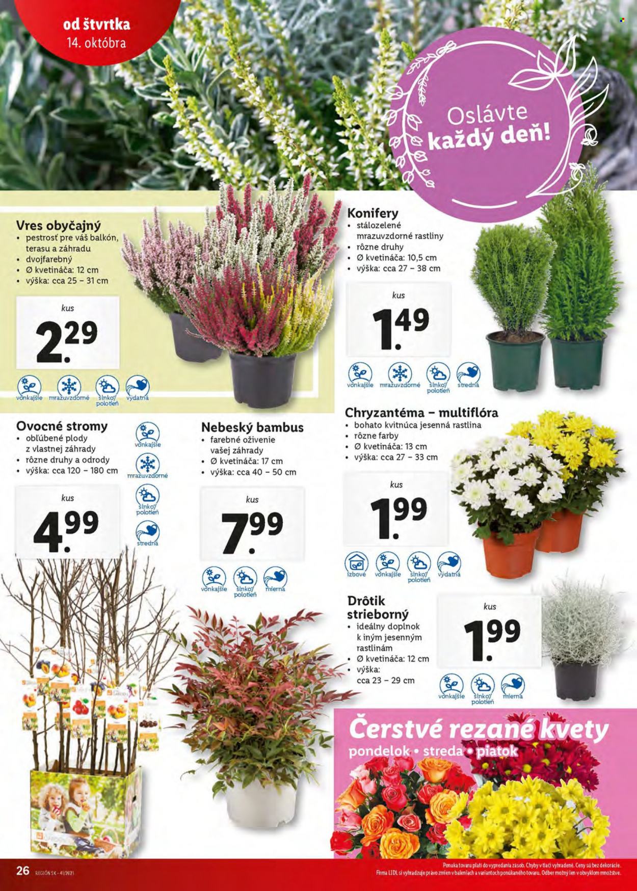 Leták Lidl - 14.10.2021 - 17.10.2021. Strana 26