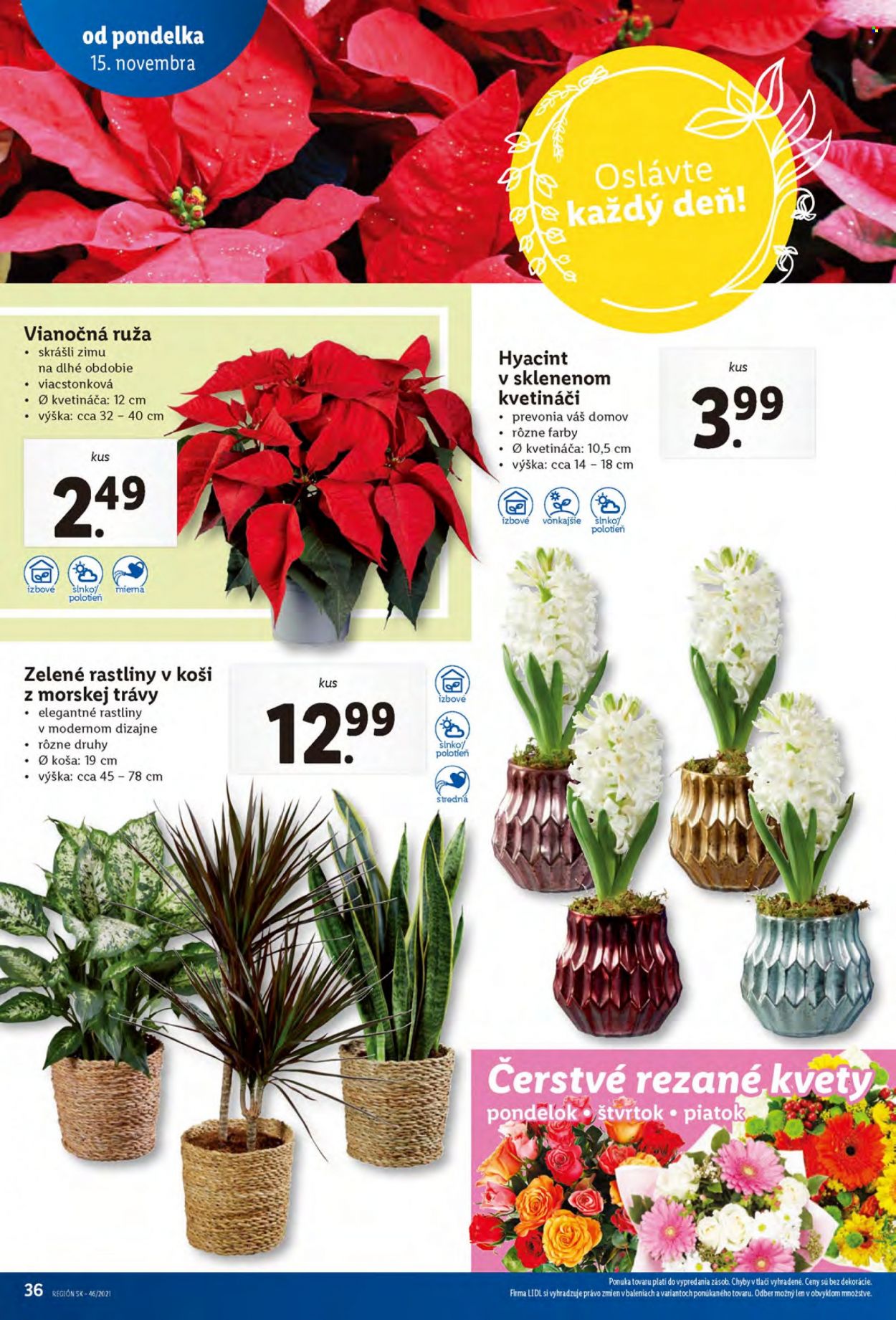 Leták Lidl - 15.11.2021 - 21.11.2021. Strana 36