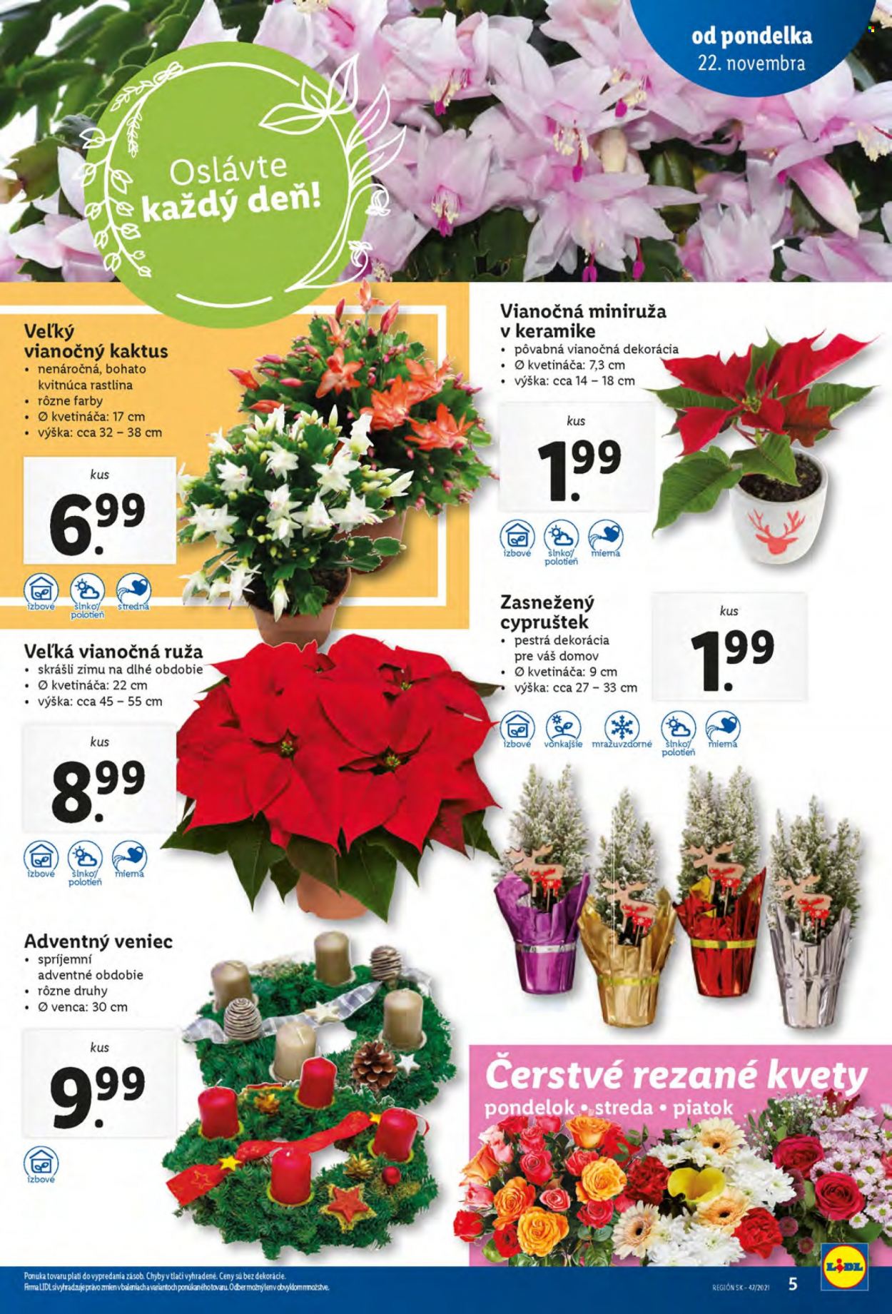 Leták Lidl - 22.11.2021 - 28.11.2021. Strana 5