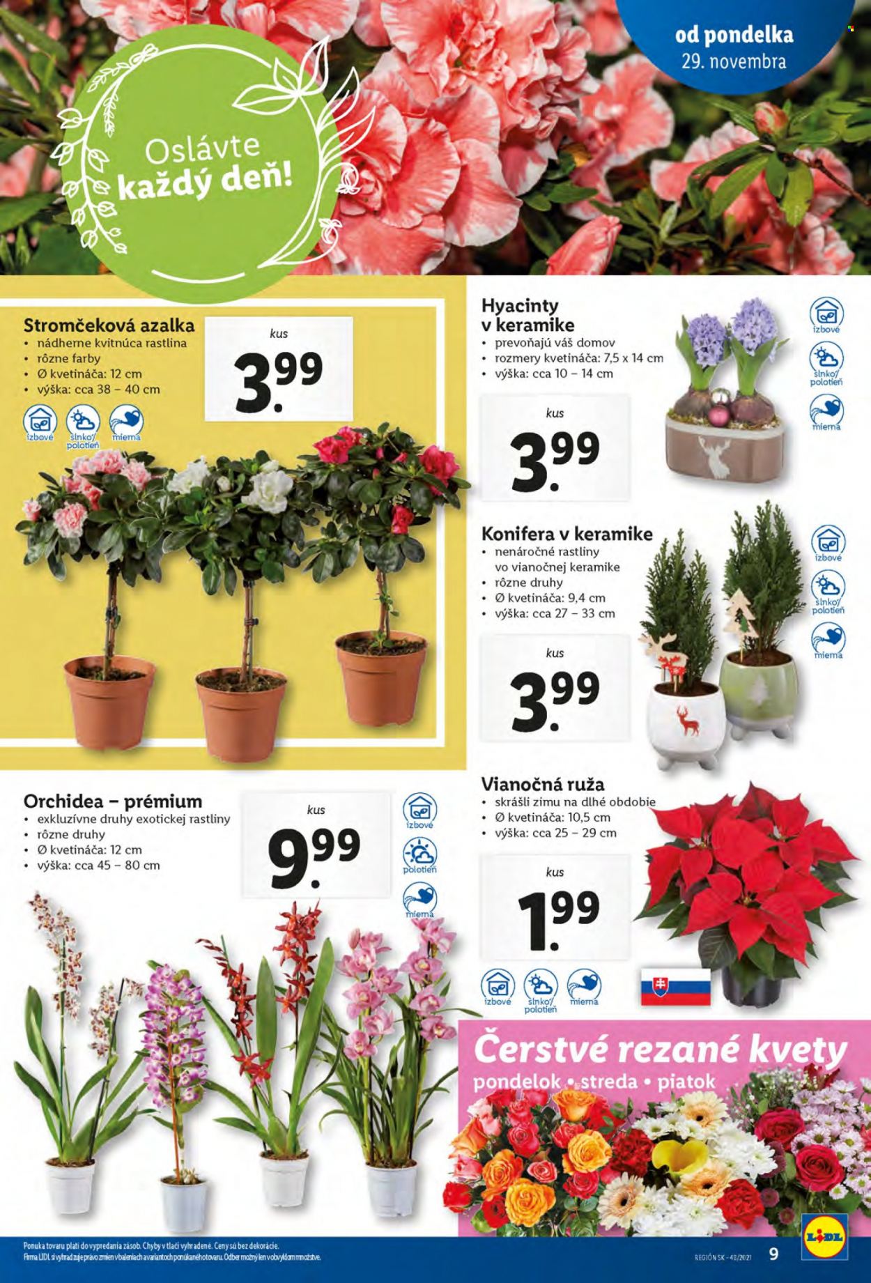 Leták Lidl - 29.11.2021 - 5.12.2021. Strana 9