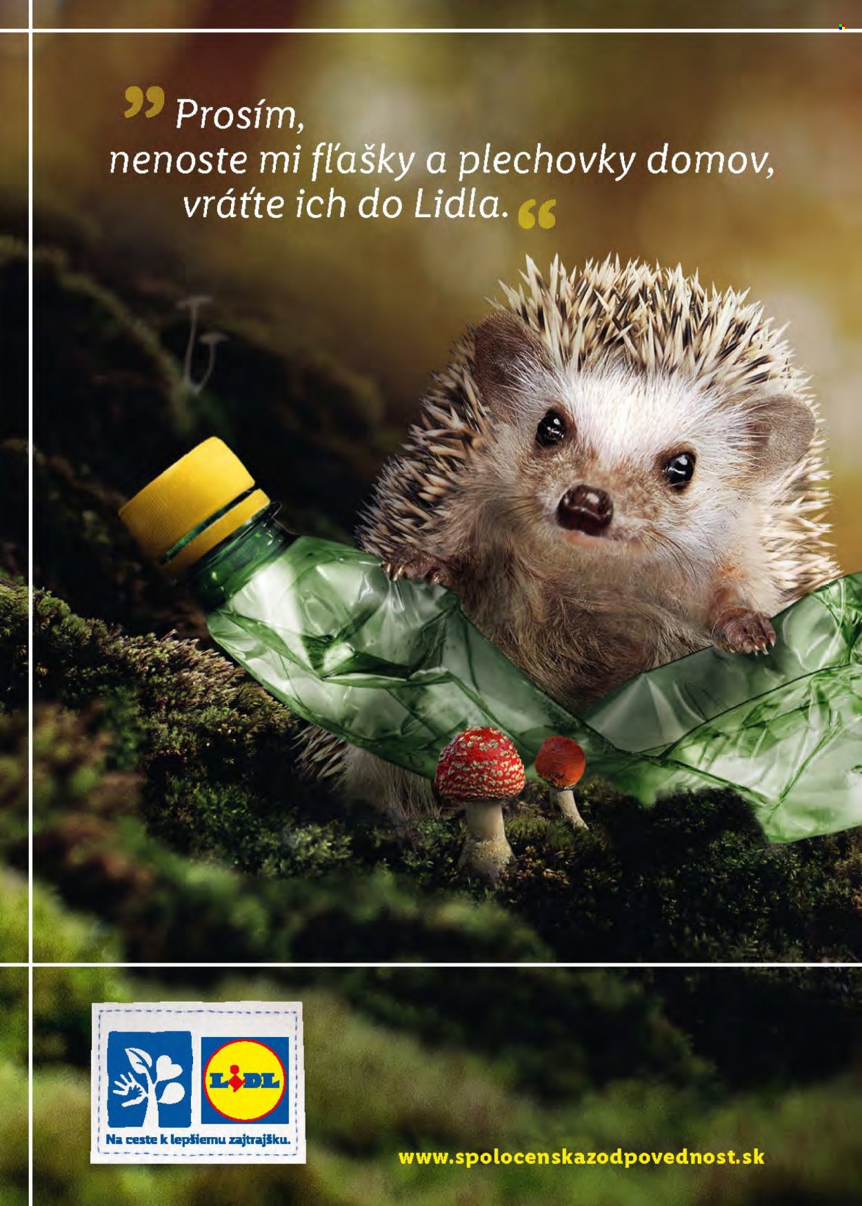 Leták Lidl - 22.12.2021 - 24.12.2021. Strana 24