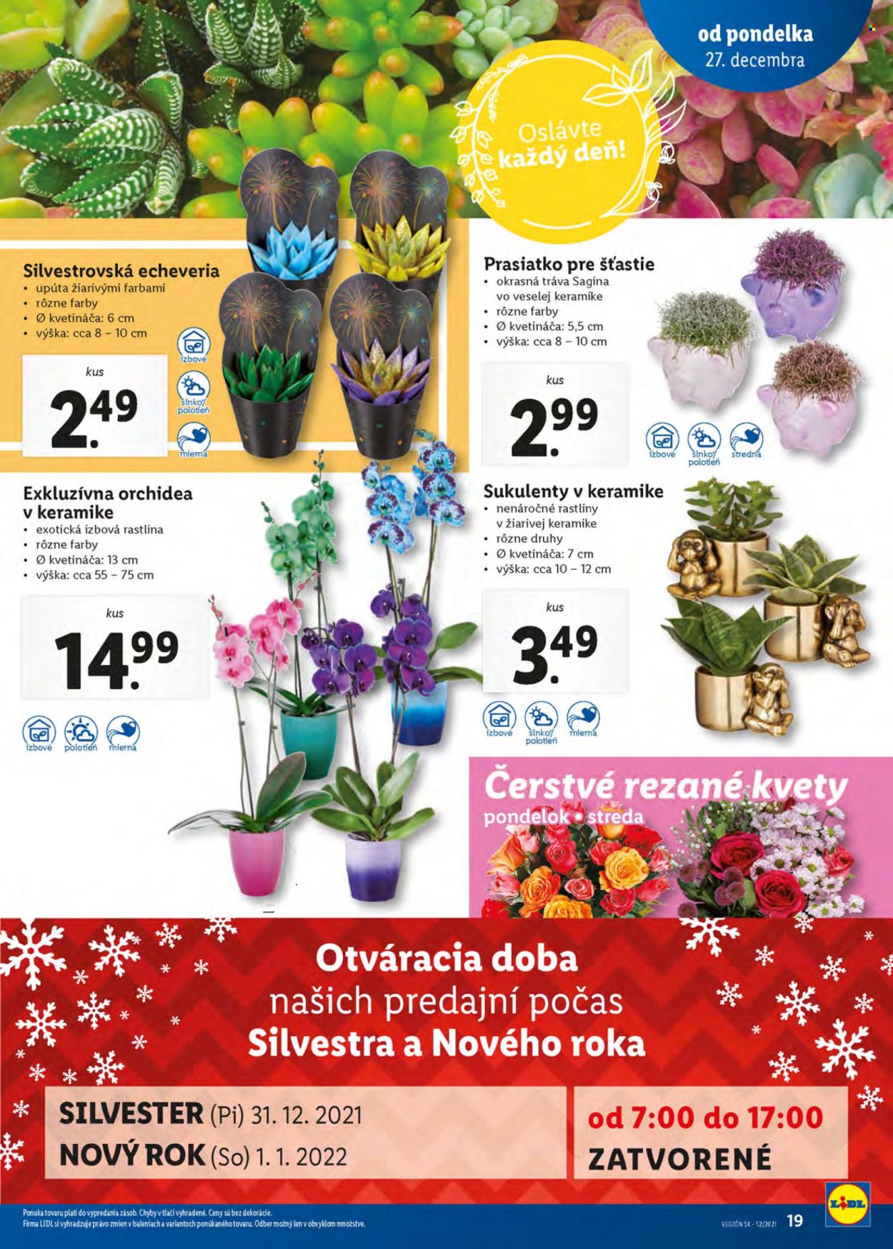 Leták Lidl - 27.12.2021 - 2.1.2022. Strana 19