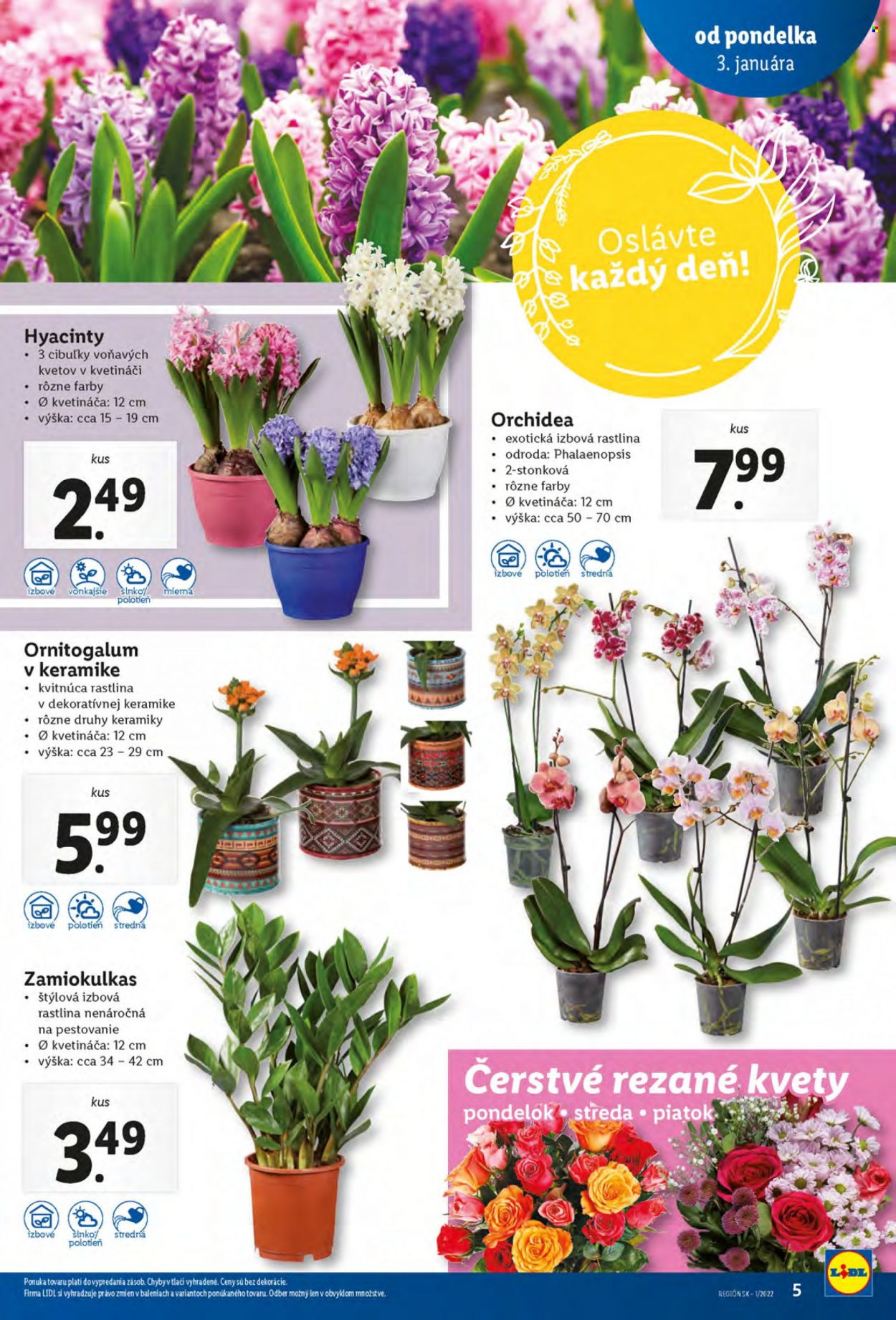Leták Lidl - 3.1.2022 - 9.1.2022. Strana 5