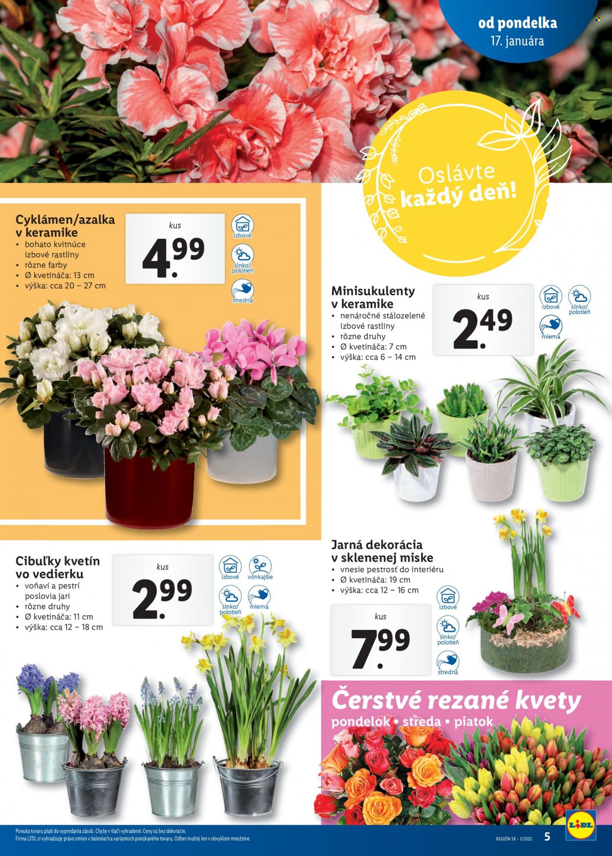 Leták Lidl - 17.1.2022 - 23.1.2022. Strana 5