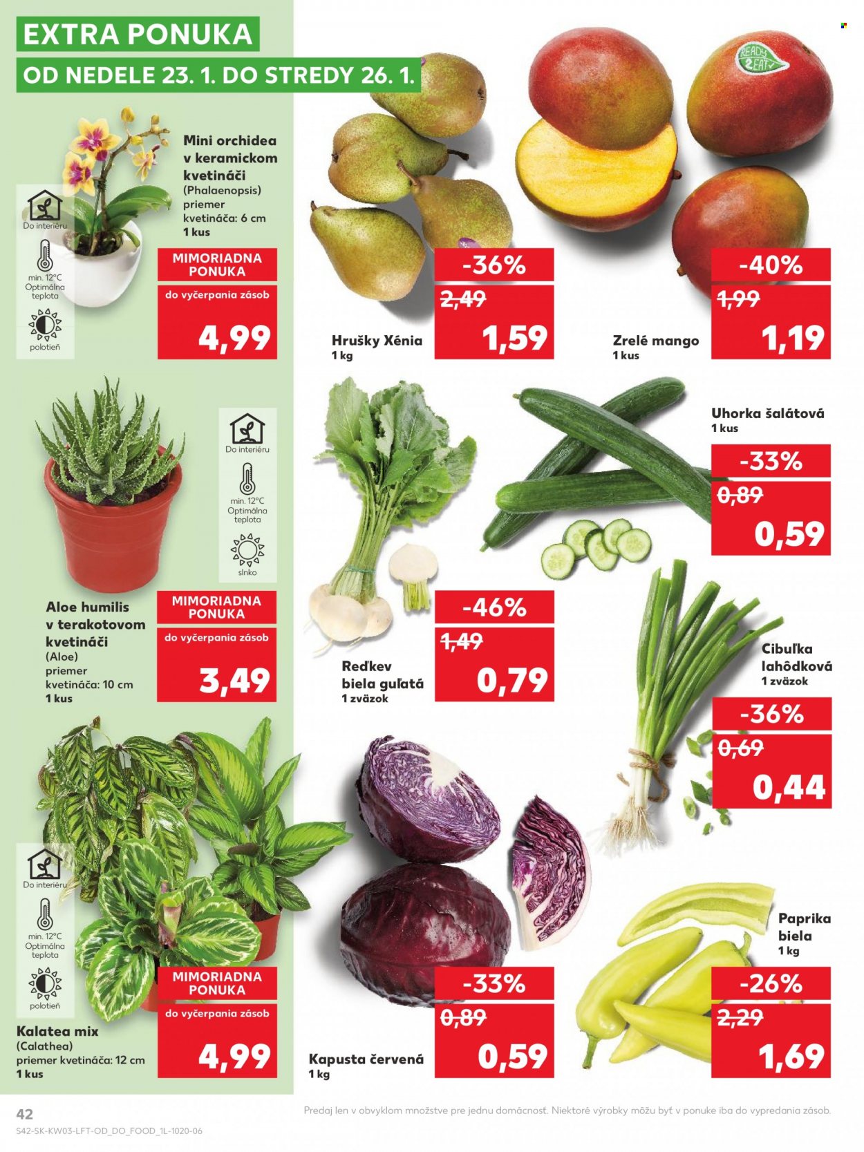 Leták Kaufland - 20.1.2022 - 26.1.2022. Strana 42