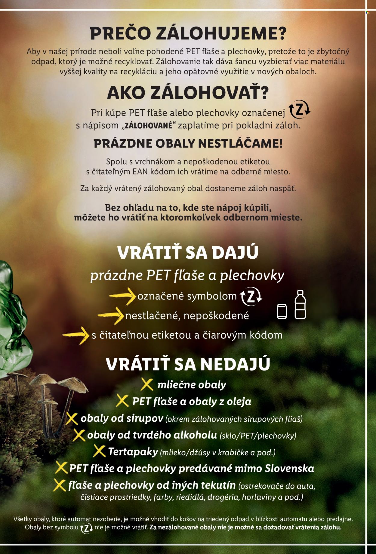 Leták Lidl - 31.1.2022 - 6.2.2022. Strana 19