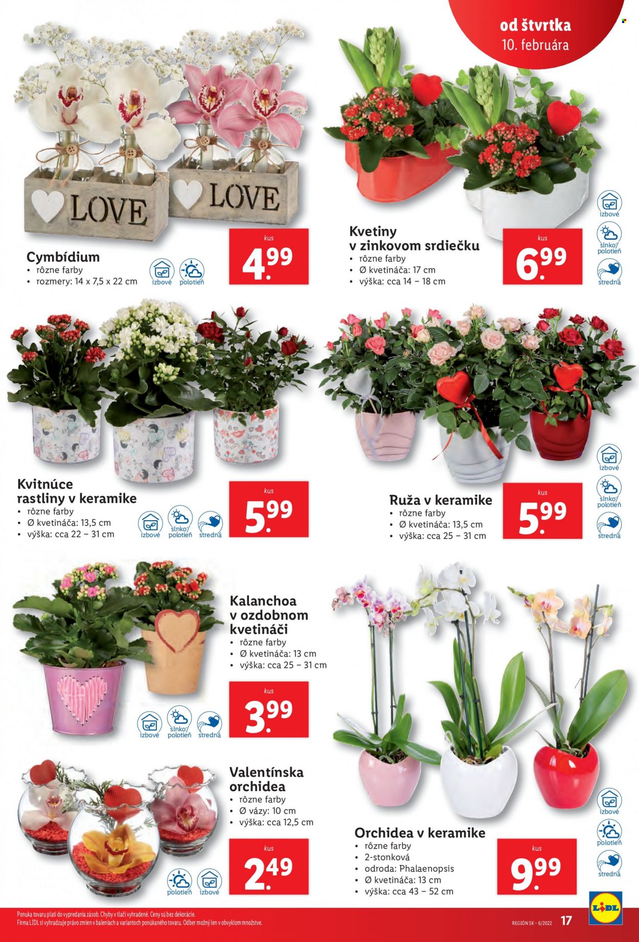 Leták Lidl - 10.2.2022 - 13.2.2022. Strana 17