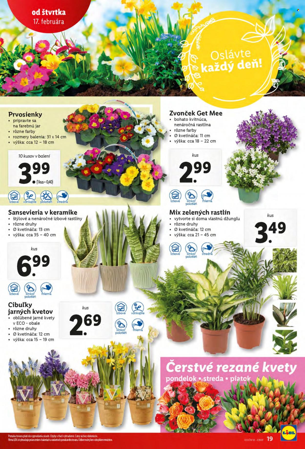 Leták Lidl - 17.2.2022 - 20.2.2022. Strana 19