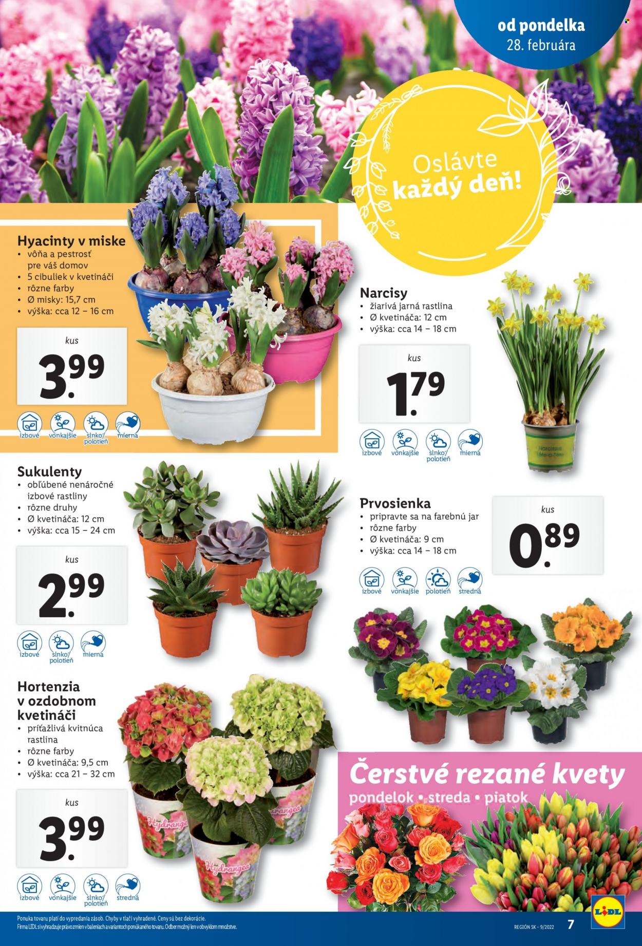 Leták Lidl - 28.2.2022 - 6.3.2022. Strana 7