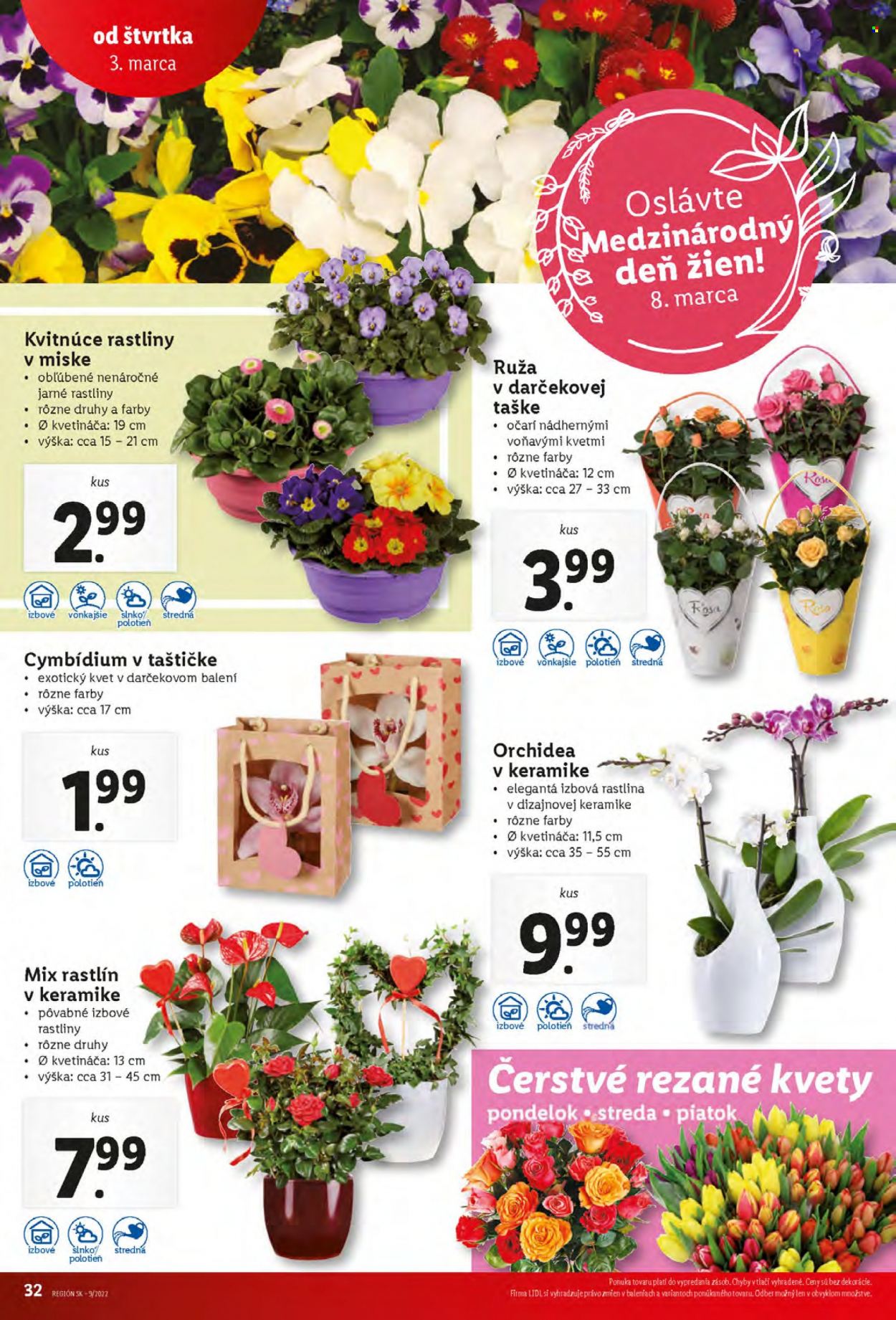 Leták Lidl - 3.3.2022 - 6.3.2022. Strana 32