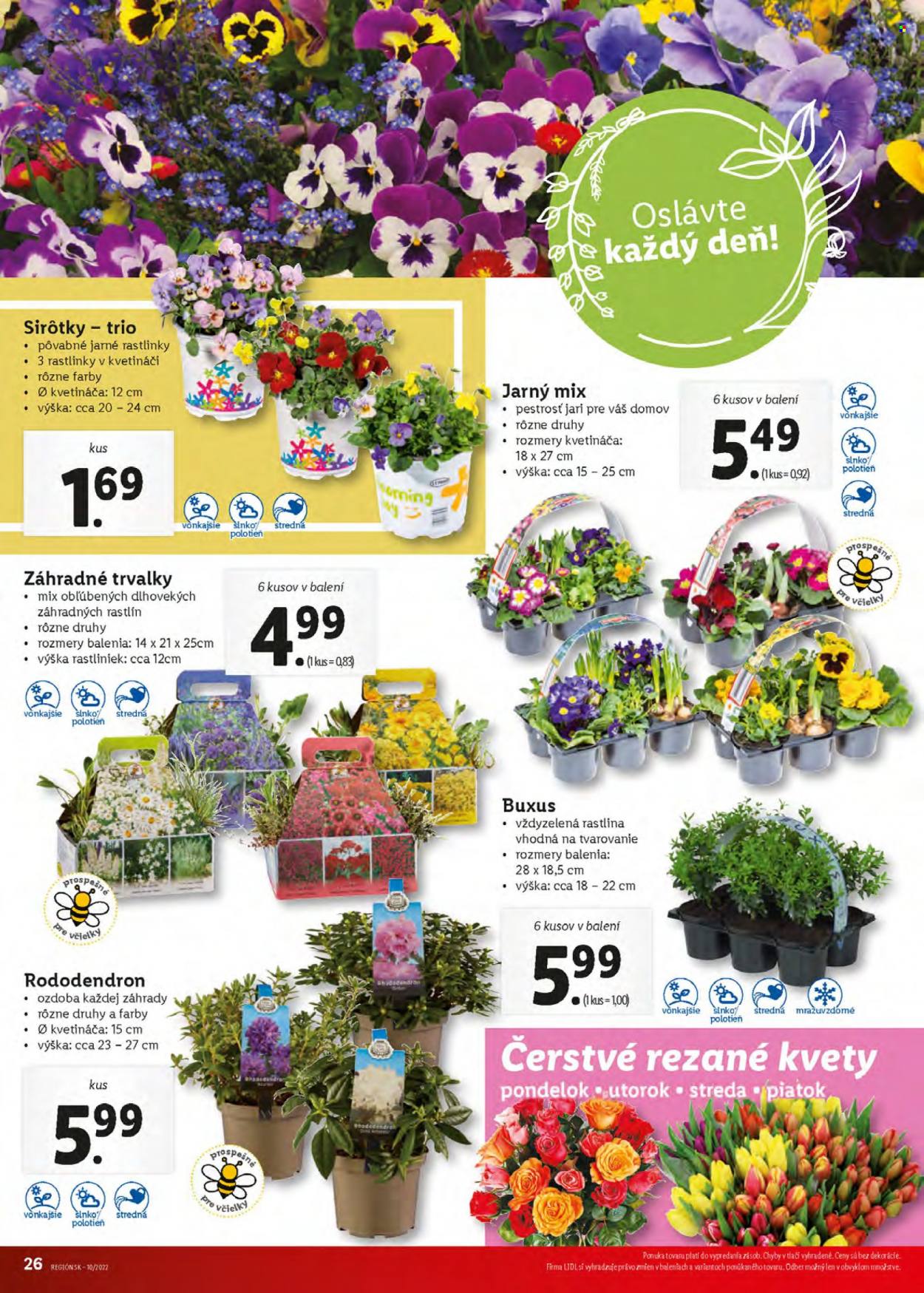 Leták Lidl - 10.3.2022 - 13.3.2022. Strana 26