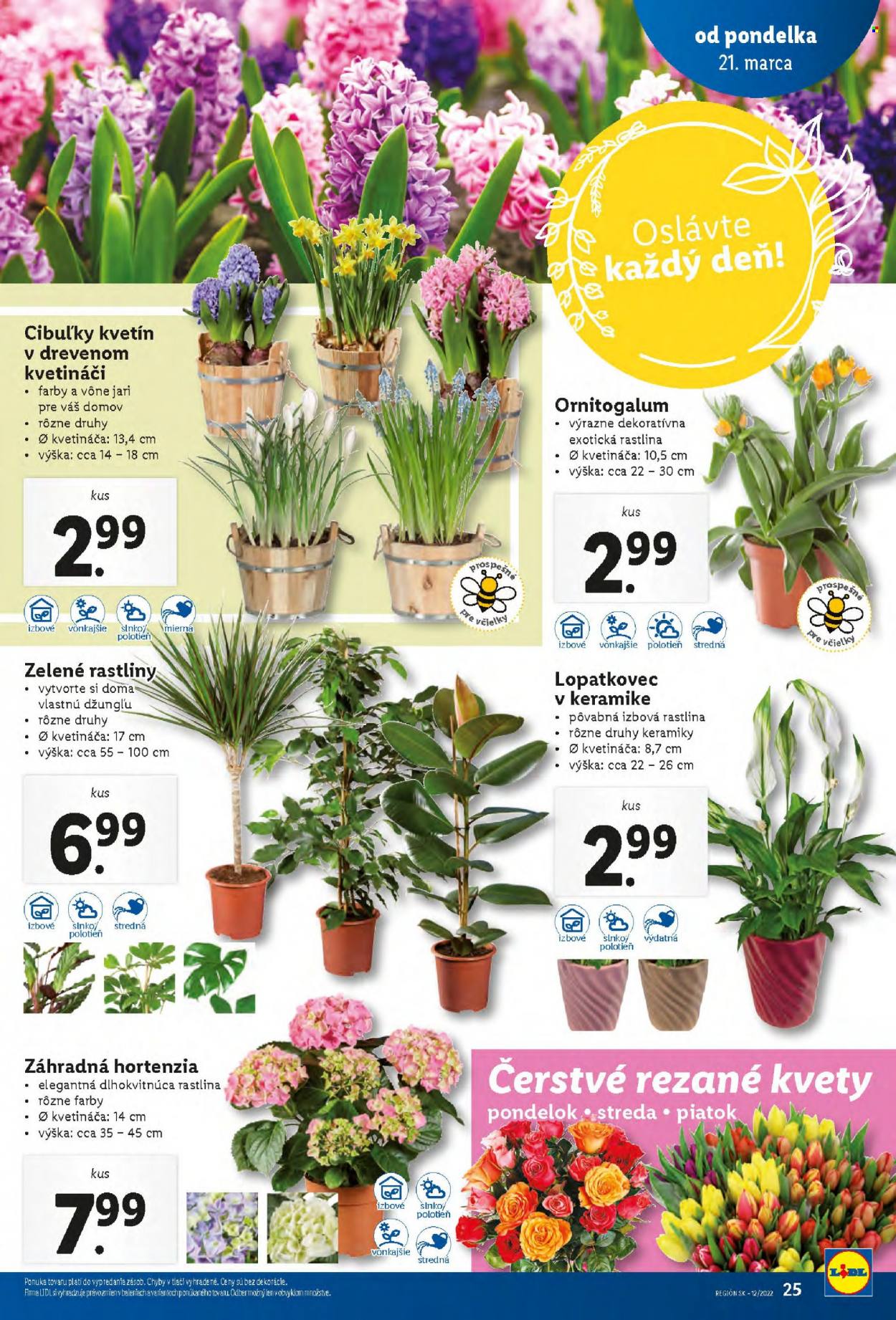 Leták Lidl - 21.3.2022 - 27.3.2022. Strana 25