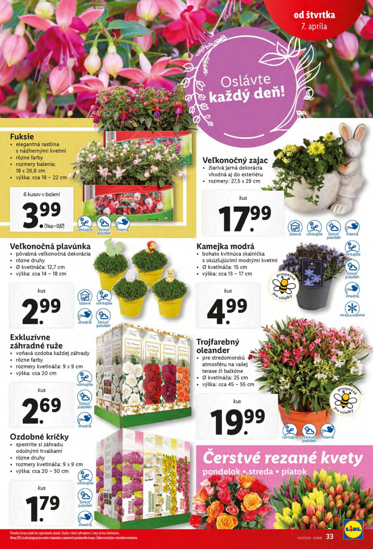 Leták Lidl - 7.4.2022 - 10.4.2022. Strana 33