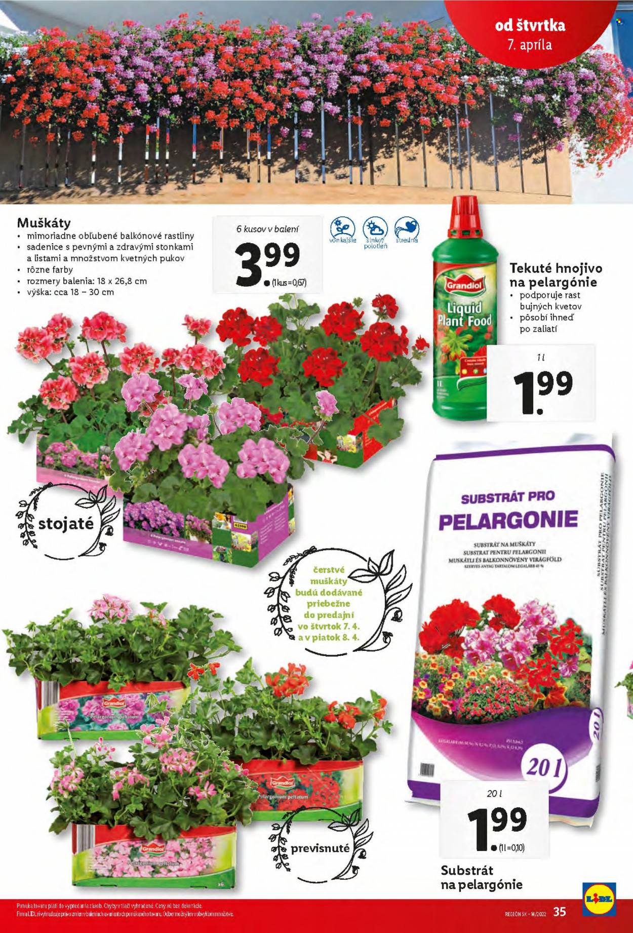 Leták Lidl - 7.4.2022 - 10.4.2022. Strana 35