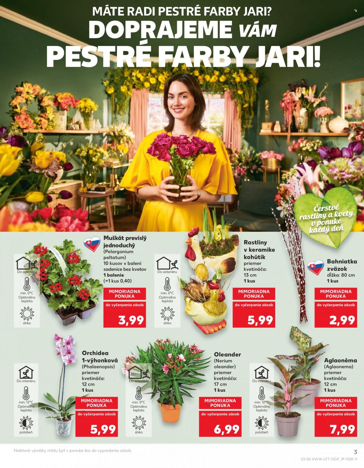 Leták Kaufland - 7.4.2022 - 13.4.2022. Strana 3
