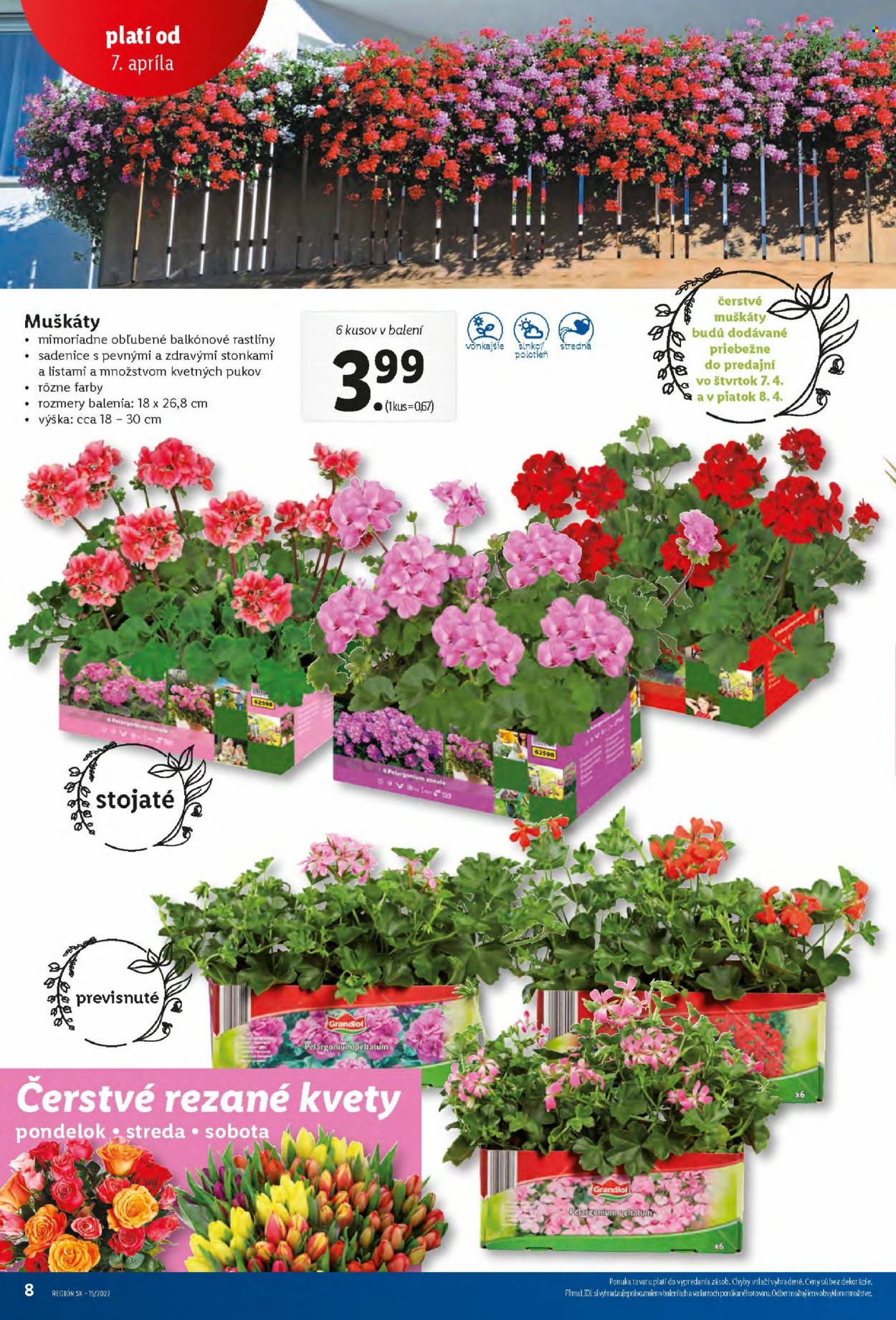 Leták Lidl - 11.4.2022 - 16.4.2022. Strana 8