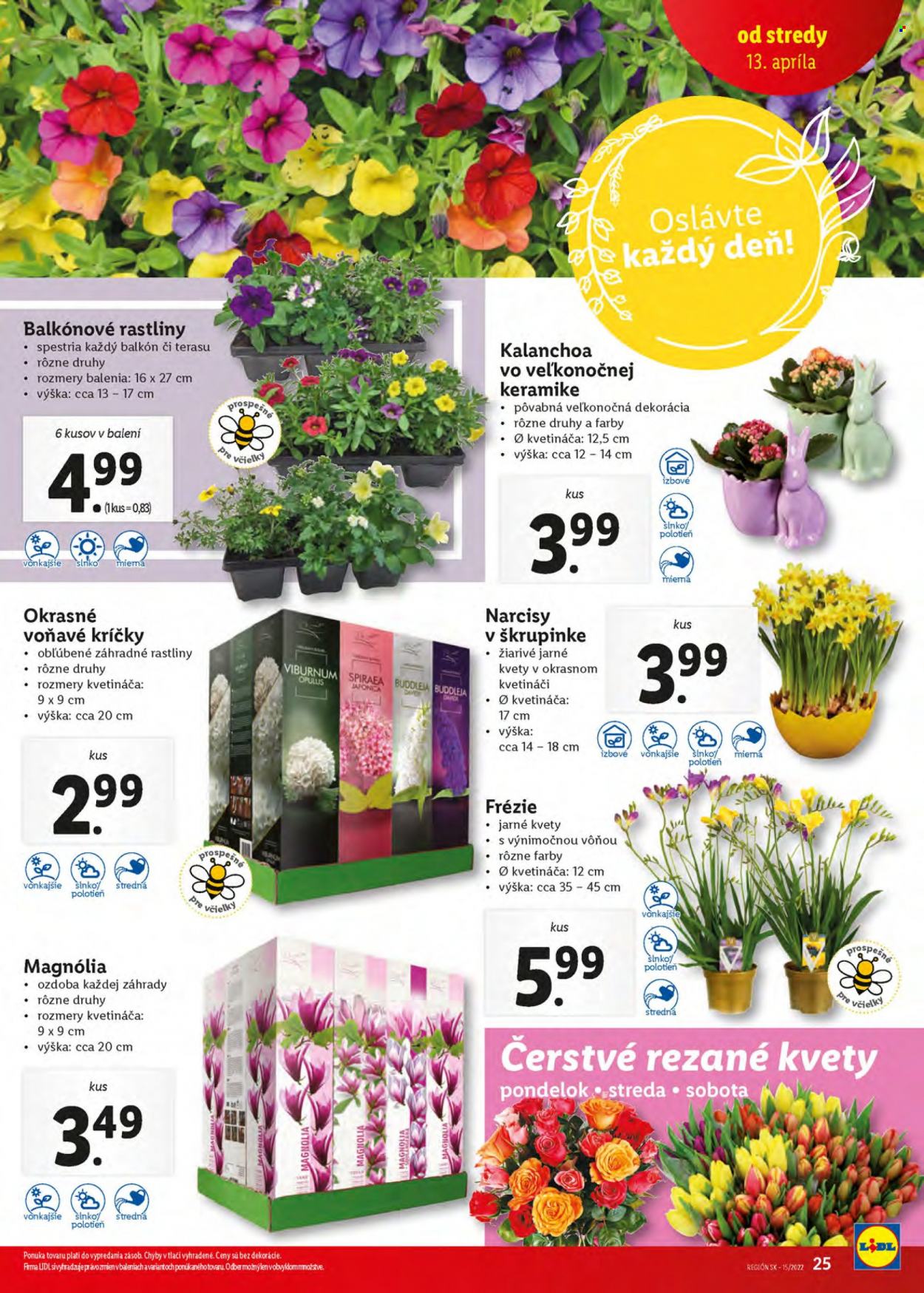 Leták Lidl - 13.4.2022 - 16.4.2022. Strana 25