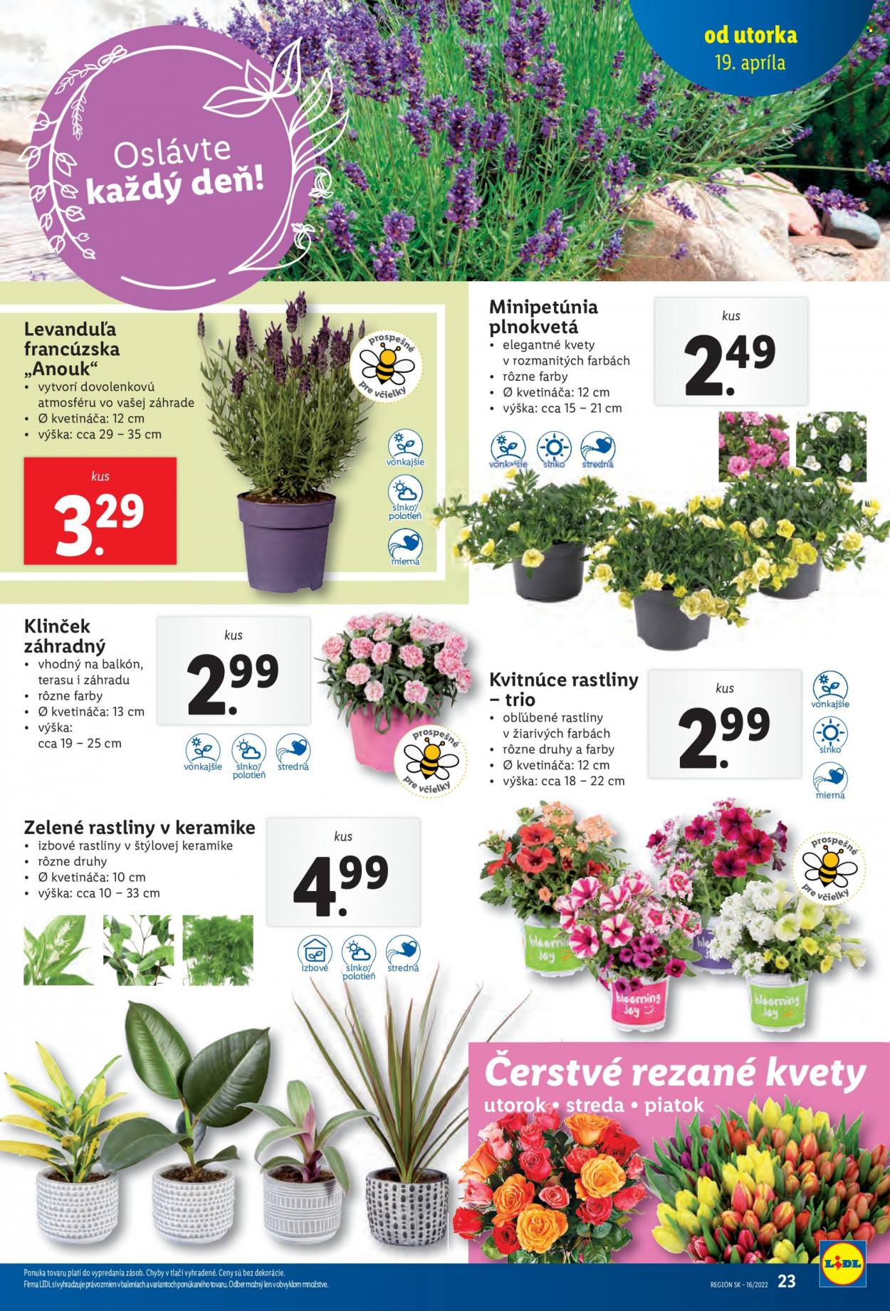 Leták Lidl - 19.4.2022 - 24.4.2022. Strana 20