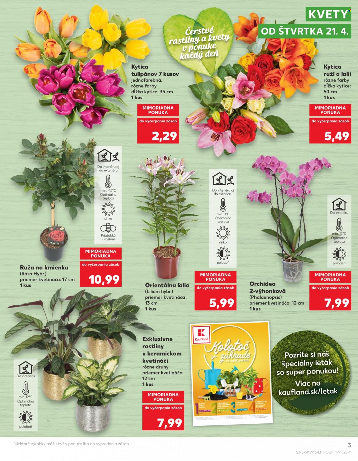 Leták Kaufland - 21.4.2022 - 27.4.2022. Strana 3