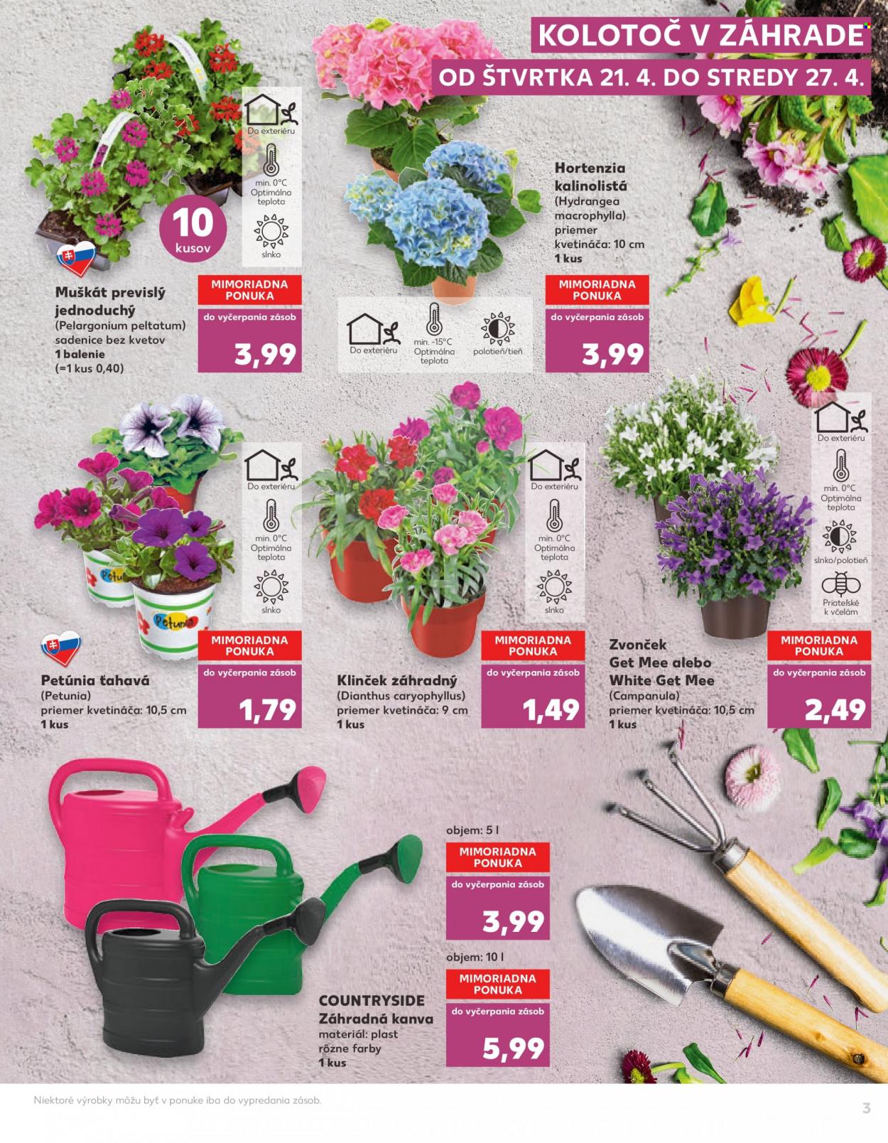Leták Kaufland - 21.4.2022 - 4.5.2022. Strana 3
