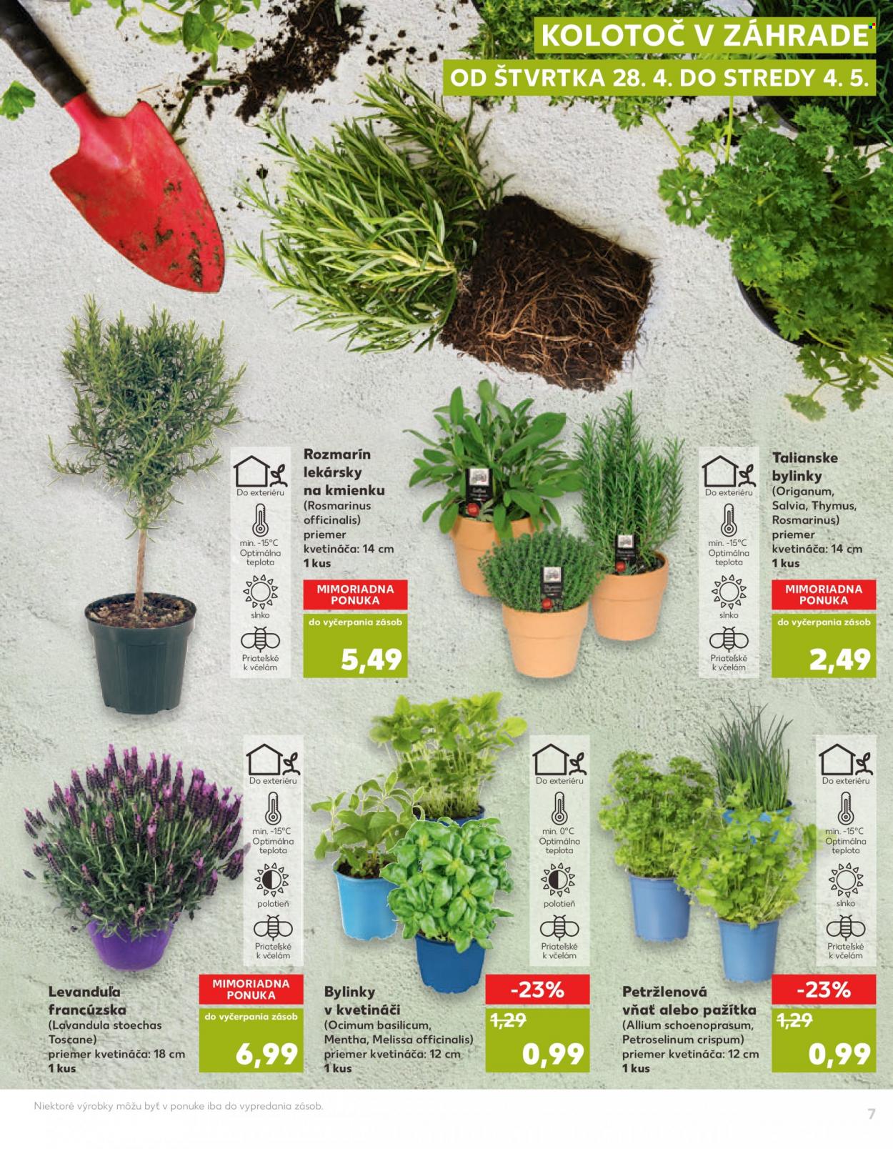 Leták Kaufland - 21.4.2022 - 4.5.2022. Strana 7