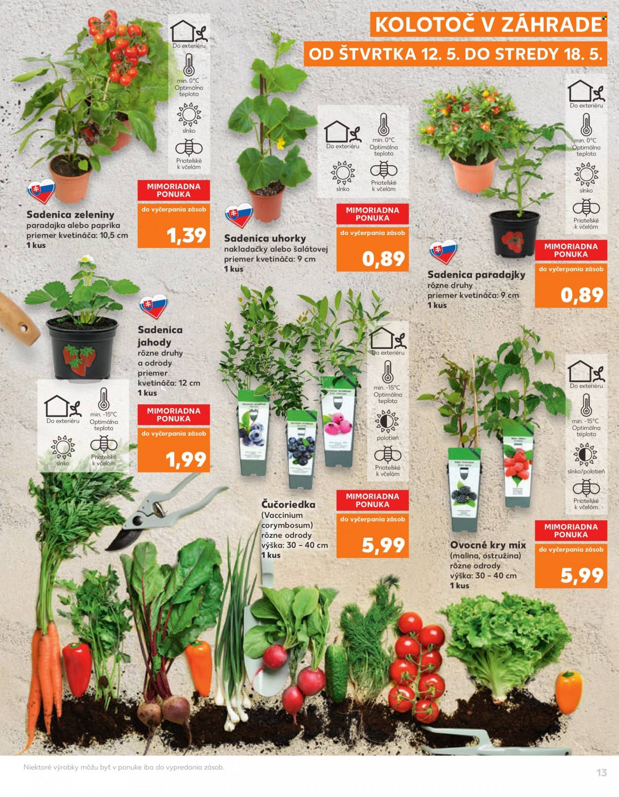 Leták Kaufland - 21.4.2022 - 4.5.2022. Strana 13