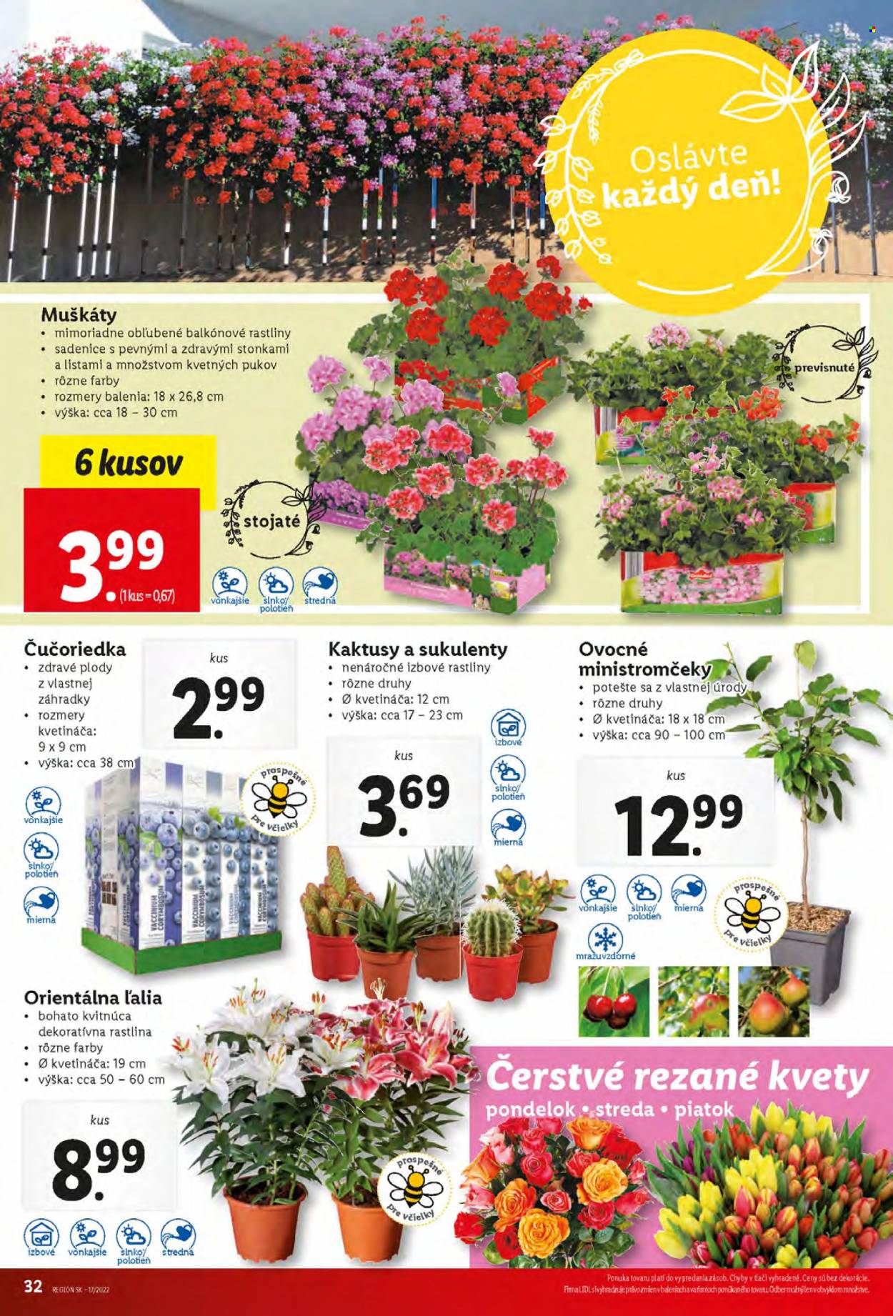 Leták Lidl - 28.4.2022 - 30.4.2022. Strana 32