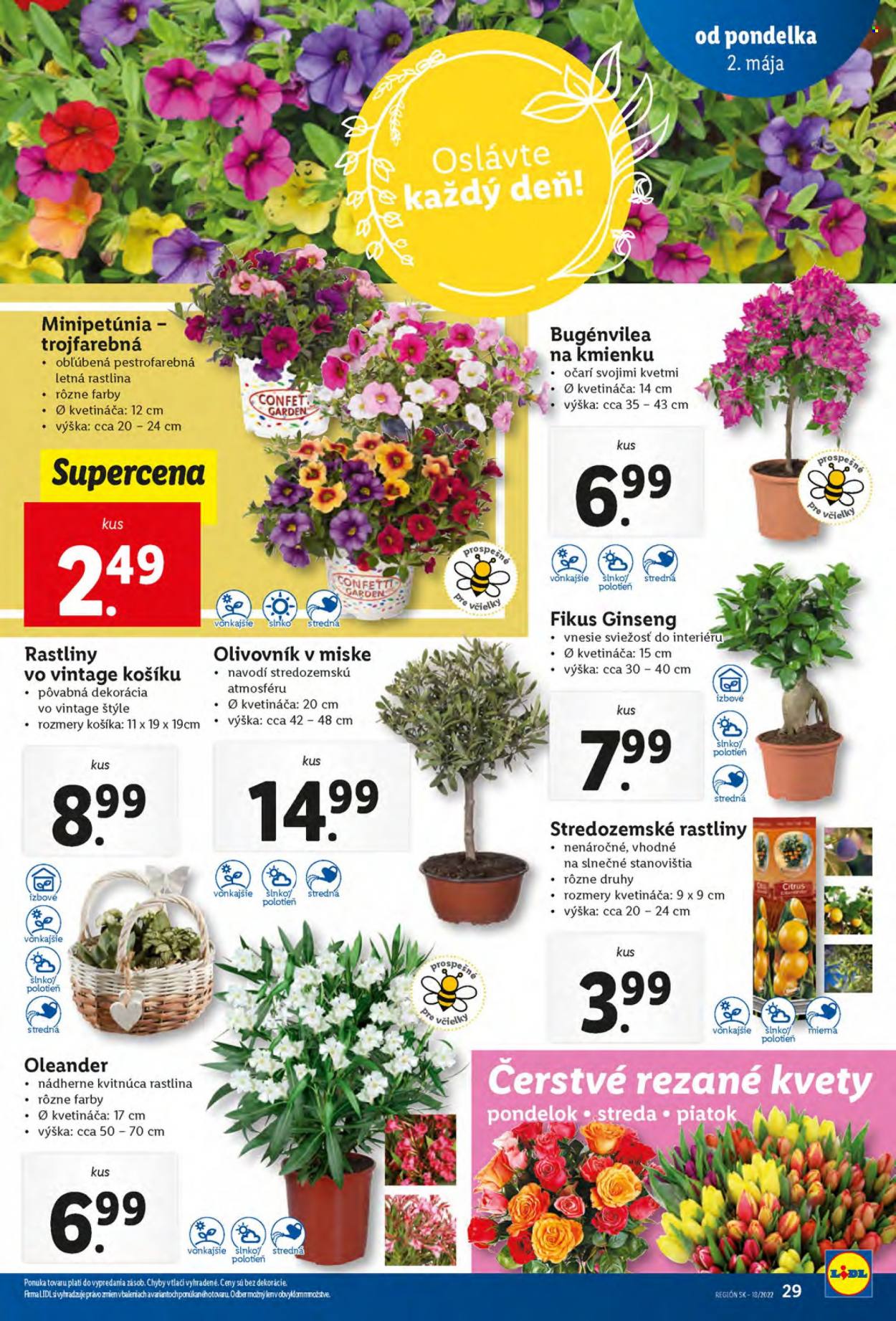 Leták Lidl - 2.5.2022 - 7.5.2022. Strana 29