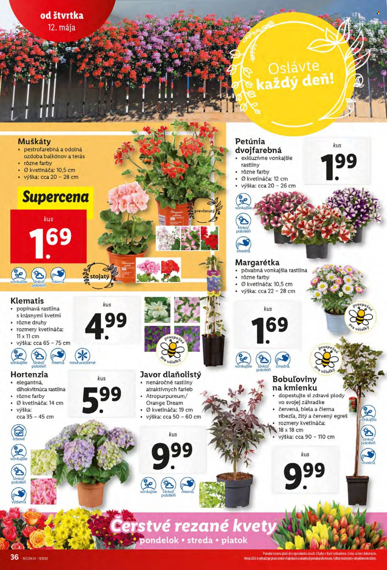 Leták Lidl - 12.5.2022 - 15.5.2022. Strana 33