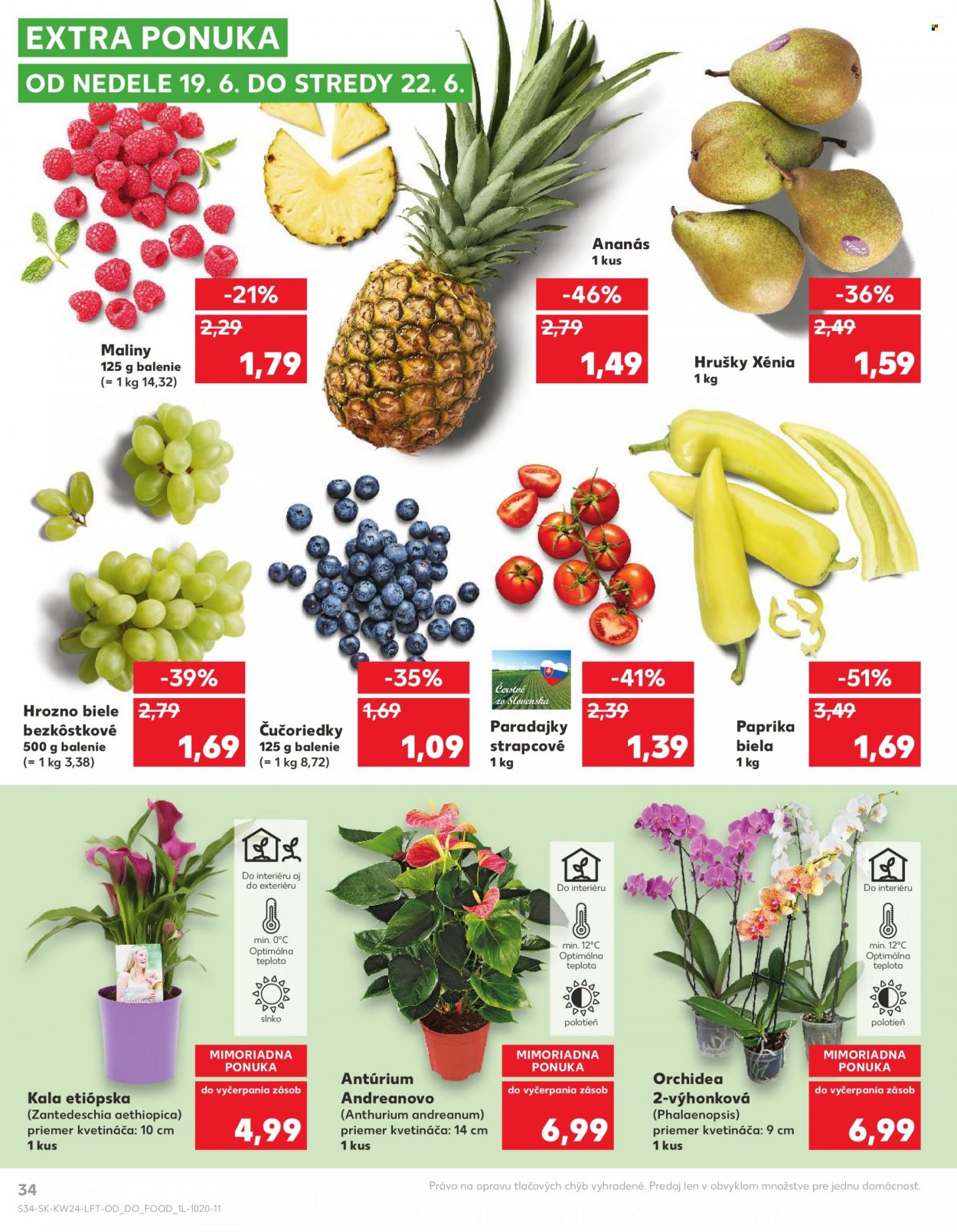 Leták Kaufland - 16.6.2022 - 22.6.2022. Strana 34