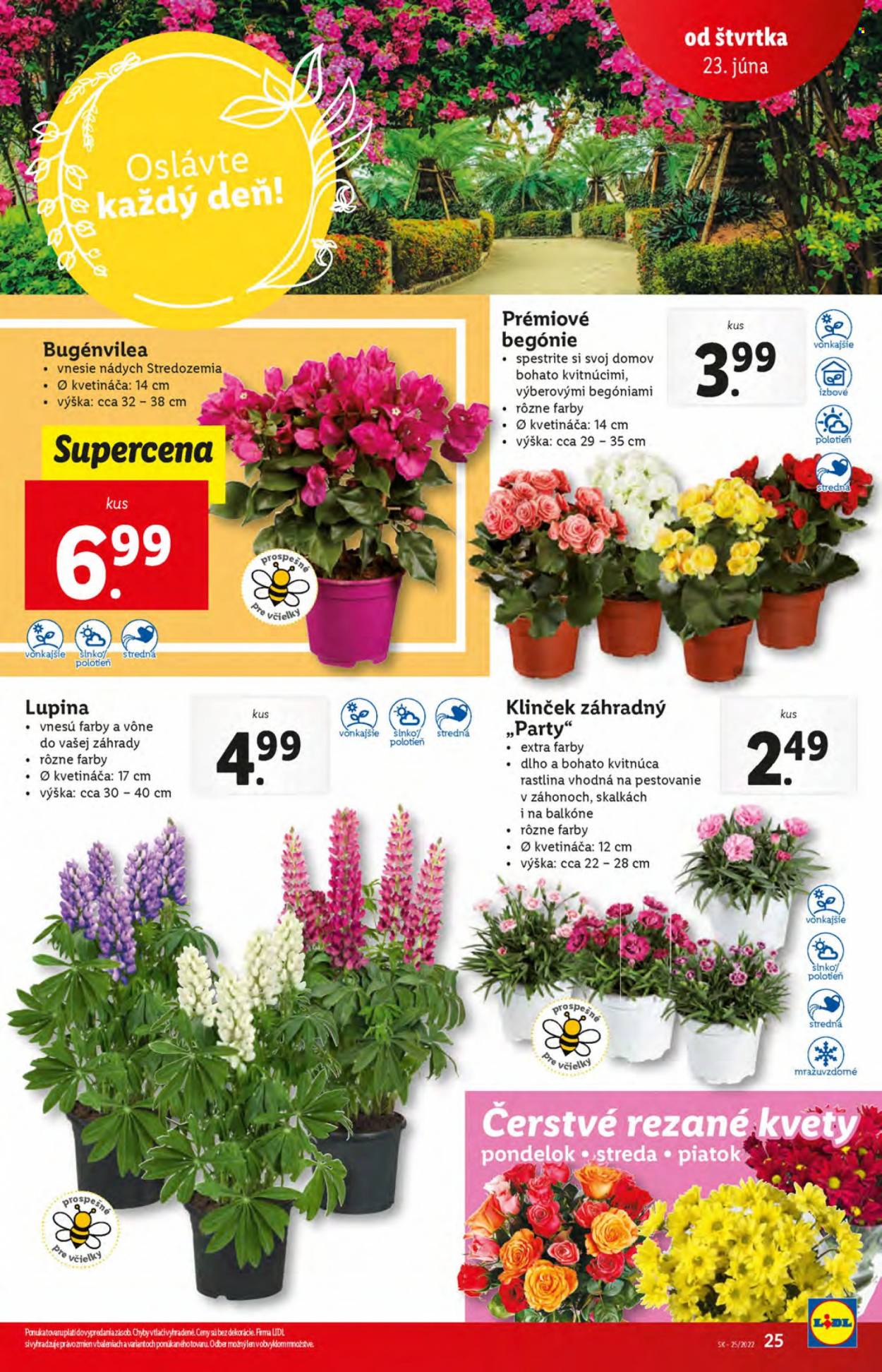 Leták Lidl - 23.6.2022 - 26.6.2022. Strana 25