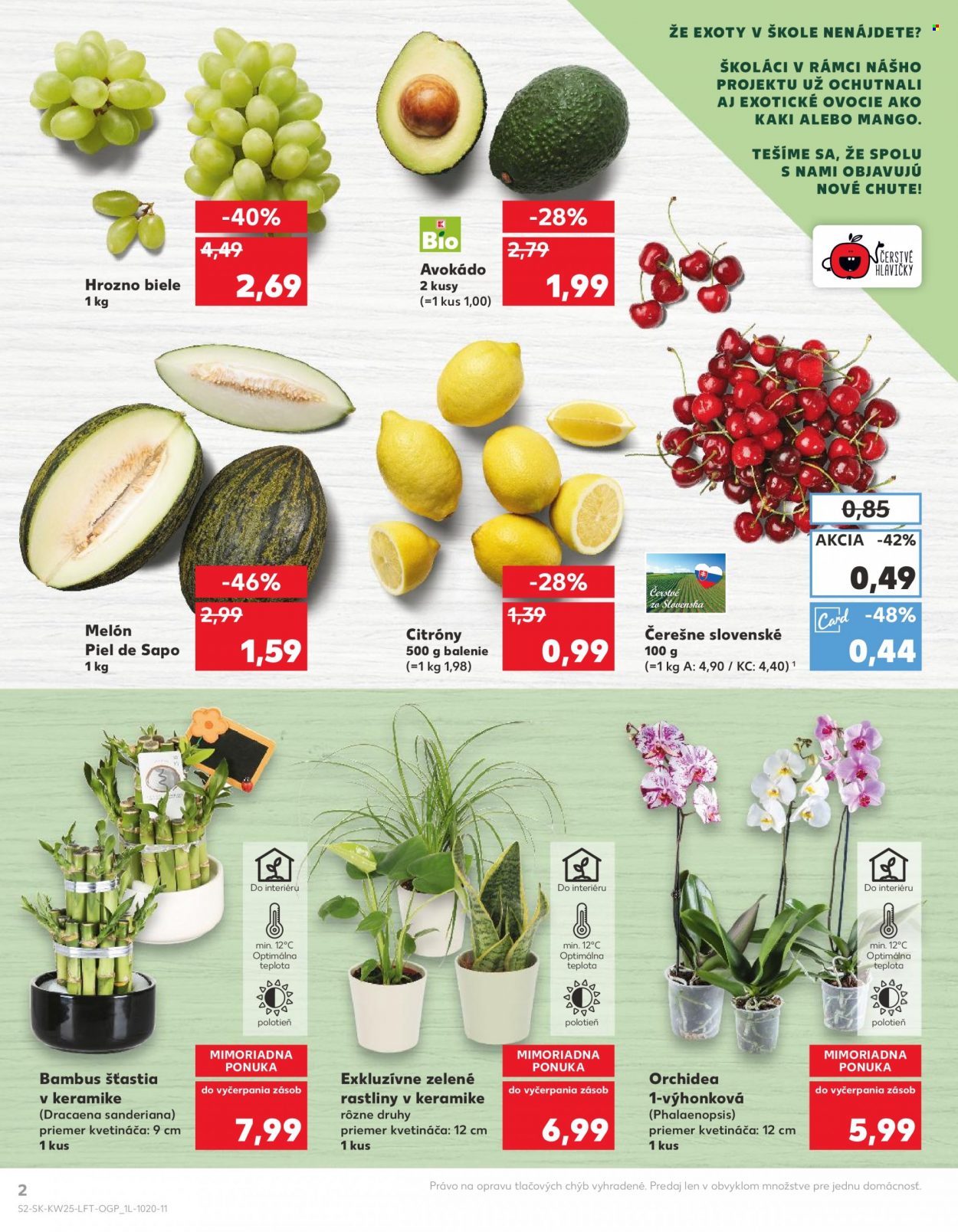 thumbnail - Leták Kaufland - 23.6.2022 - 29.6.2022 - Produkty v akcii - hrozno, hrozno biele, avokádo, melón, citróny, dracéna, rastliny v keramike, rastlina v kvetináči, zelené rastliny, izbové rastliny, orchidea, čerešne. Strana 2.