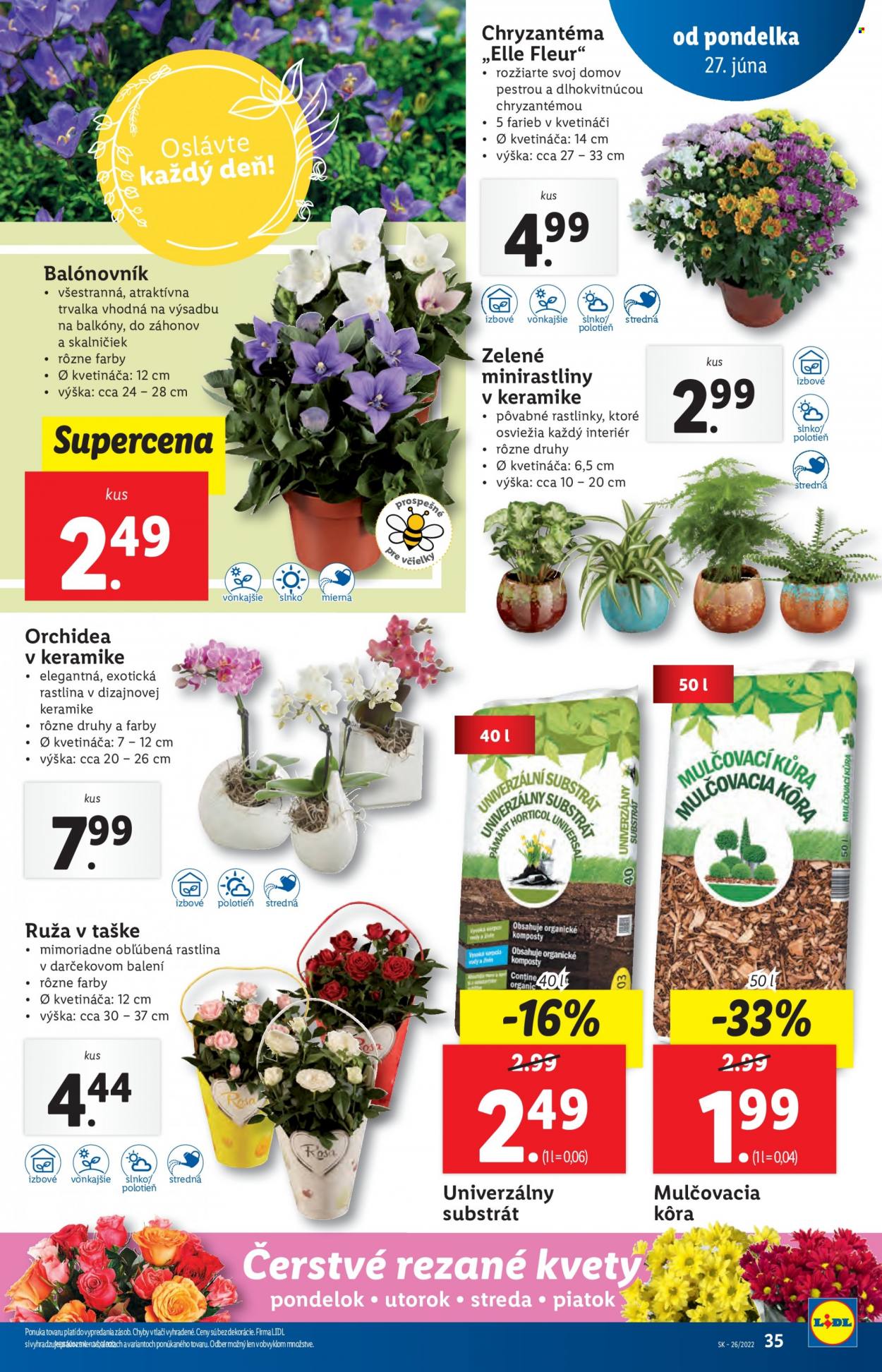 Leták Lidl - 27.6.2022 - 3.7.2022. Strana 35