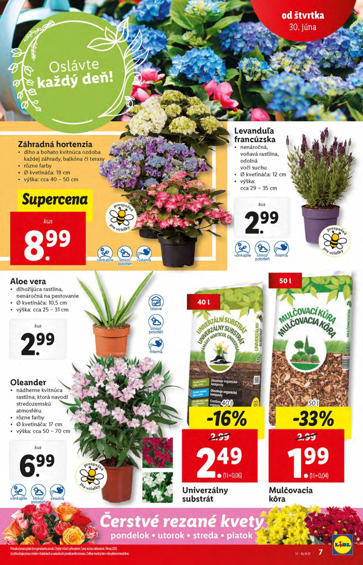 Leták Lidl - 30.6.2022 - 3.7.2022. Strana 7