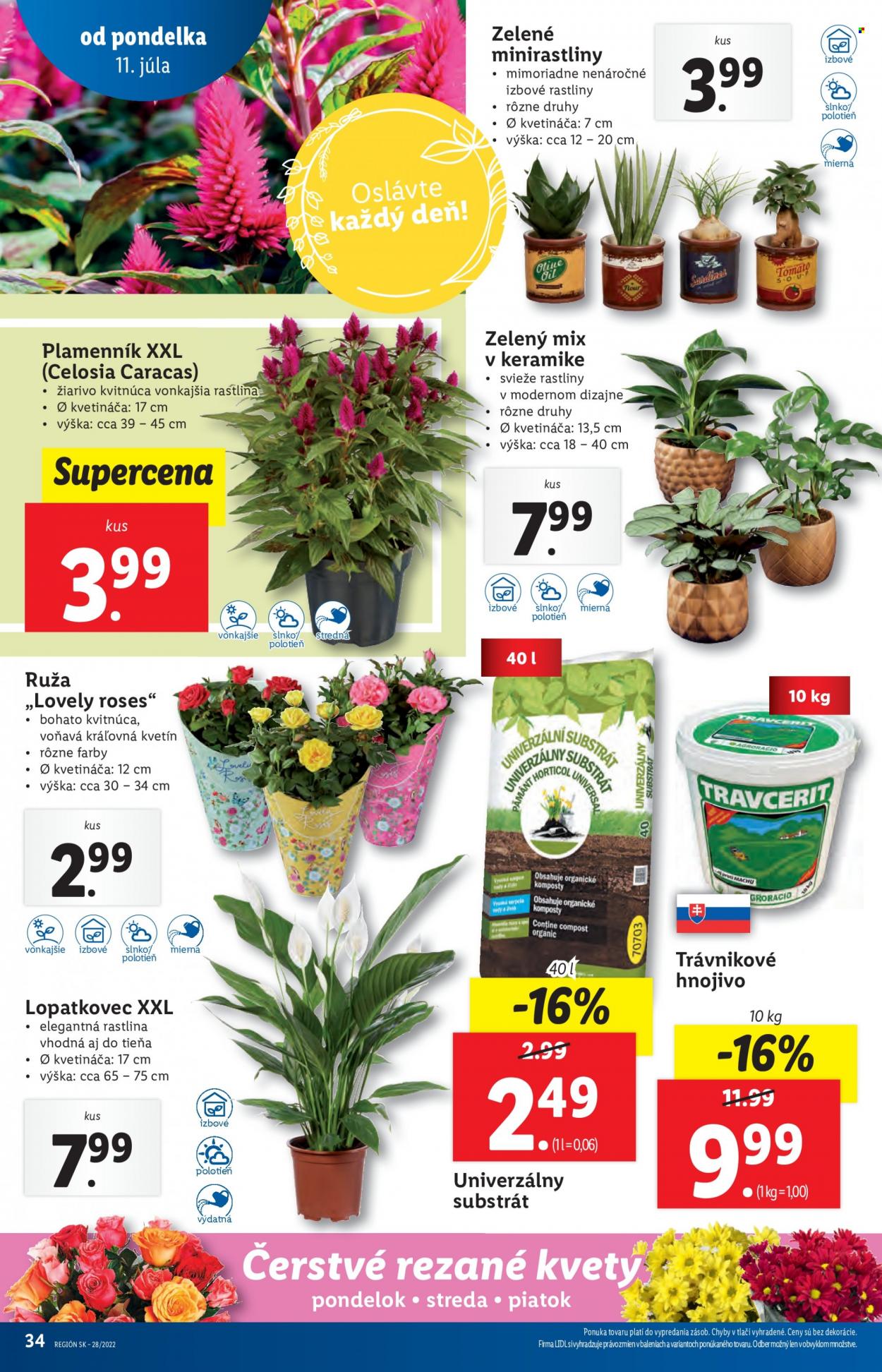 Leták Lidl - 11.7.2022 - 17.7.2022. Strana 34