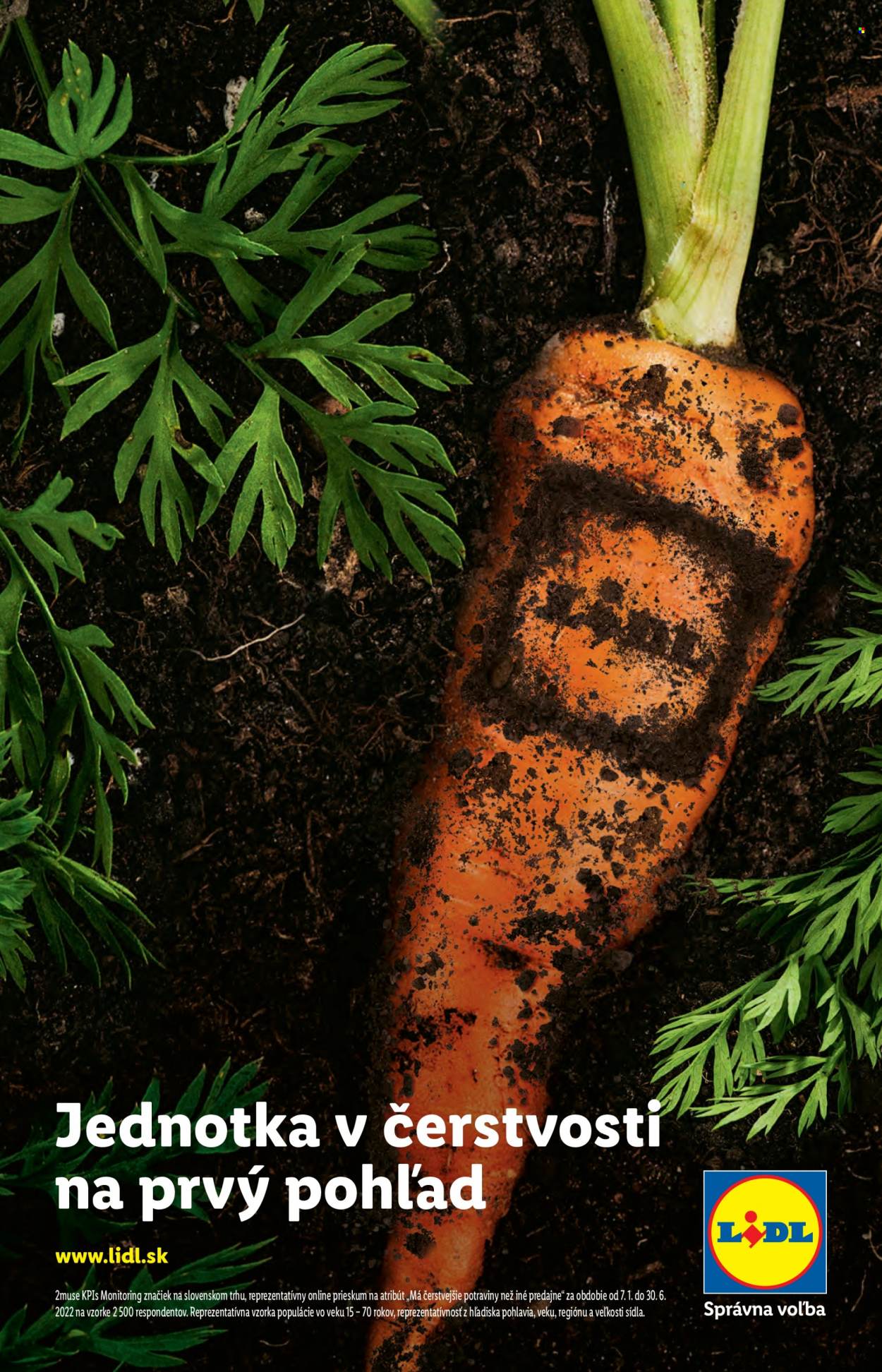 Leták Lidl - 8.8.2022 - 14.8.2022. Strana 5