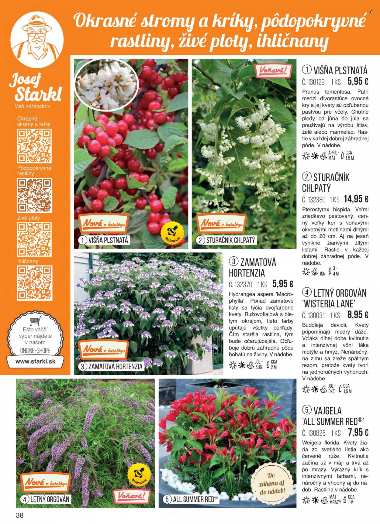 thumbnail - Leták Starkl - Produkty v akcii - ovocné kry, vonkajšie rastliny, hortenzia, ruža. Strana 38.