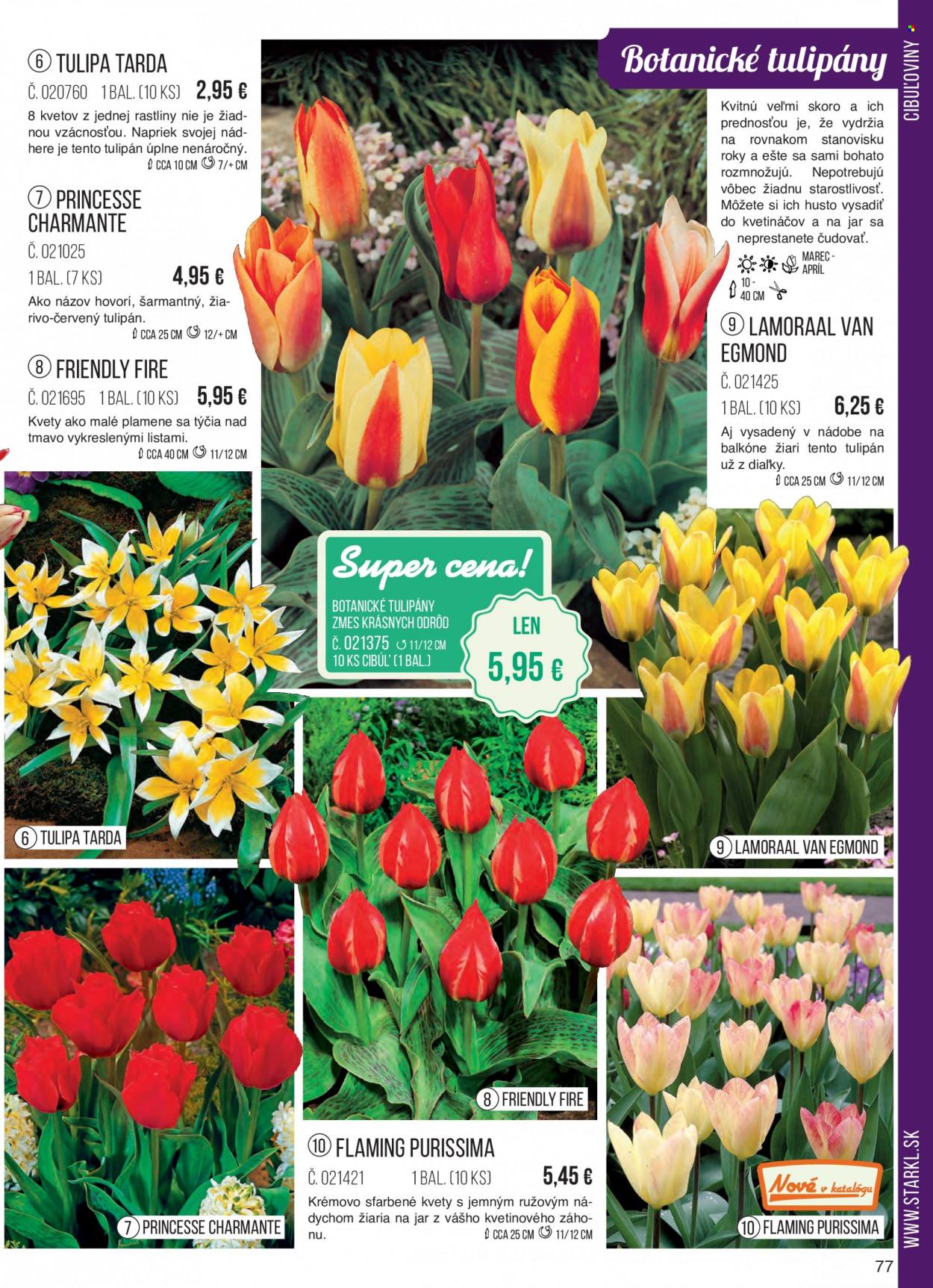 thumbnail - Leták Starkl - Produkty v akcii - tulipány, cibuľoviny. Strana 77.