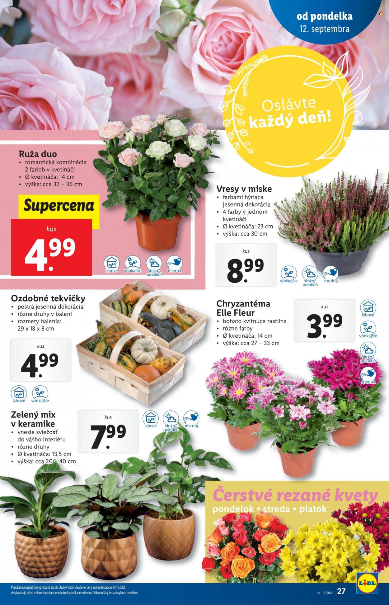 Leták Lidl - 12.9.2022 - 18.9.2022. Strana 27