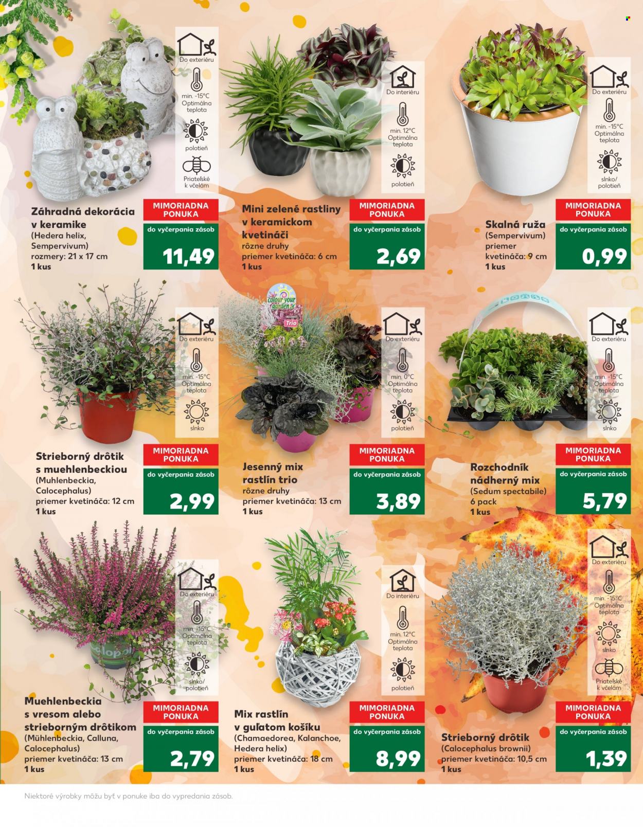 Leták Kaufland - 14.9.2022 - 21.9.2022. Strana 3