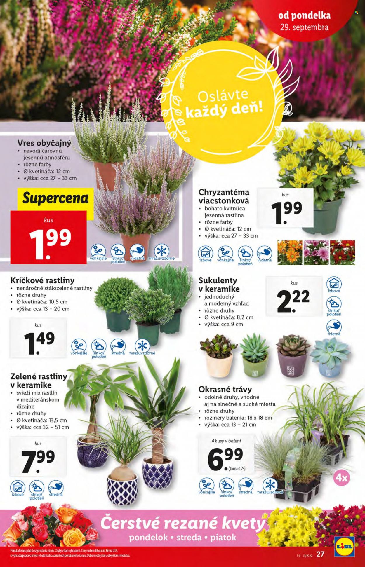 Leták Lidl - 29.9.2022 - 2.10.2022. Strana 27