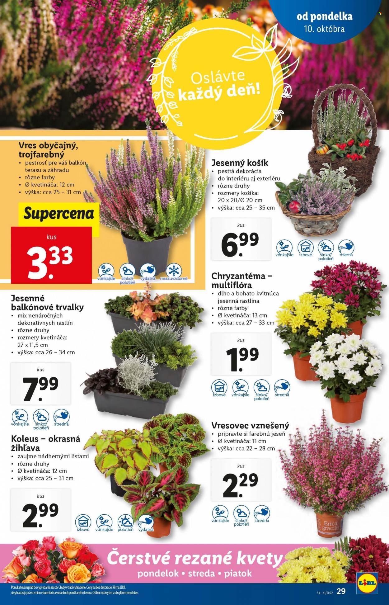 Leták Lidl - 10.10.2022 - 16.10.2022. Strana 29