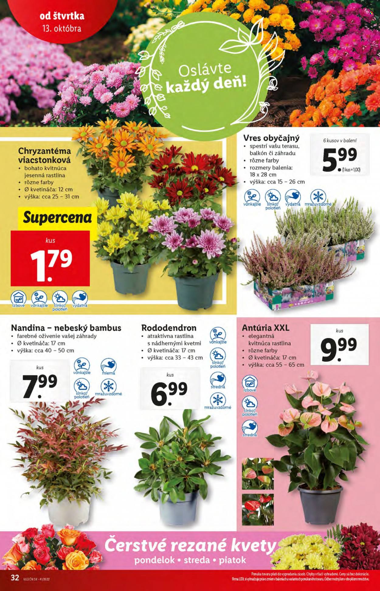 Leták Lidl - 13.10.2022 - 16.10.2022. Strana 32