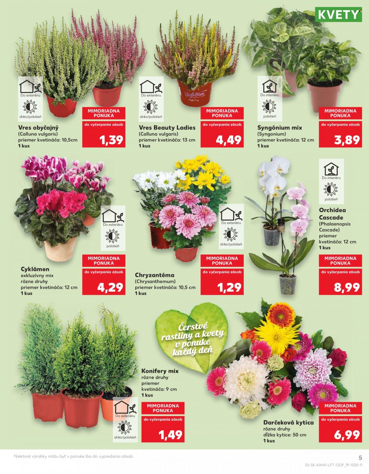 Leták Kaufland - 13.10.2022 - 19.10.2022. Strana 5