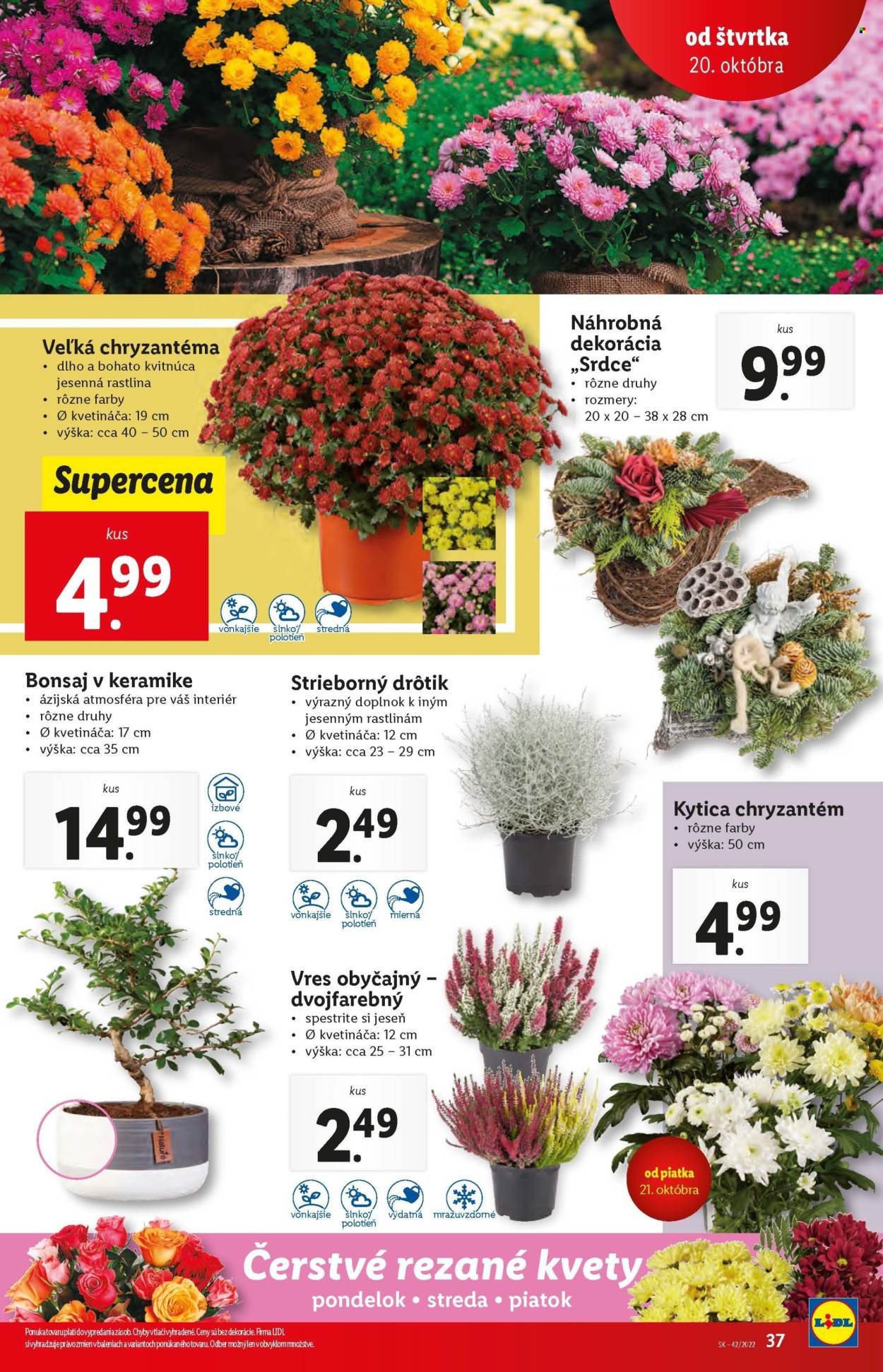 Leták Lidl - 20.10.2022 - 23.10.2022. Strana 37