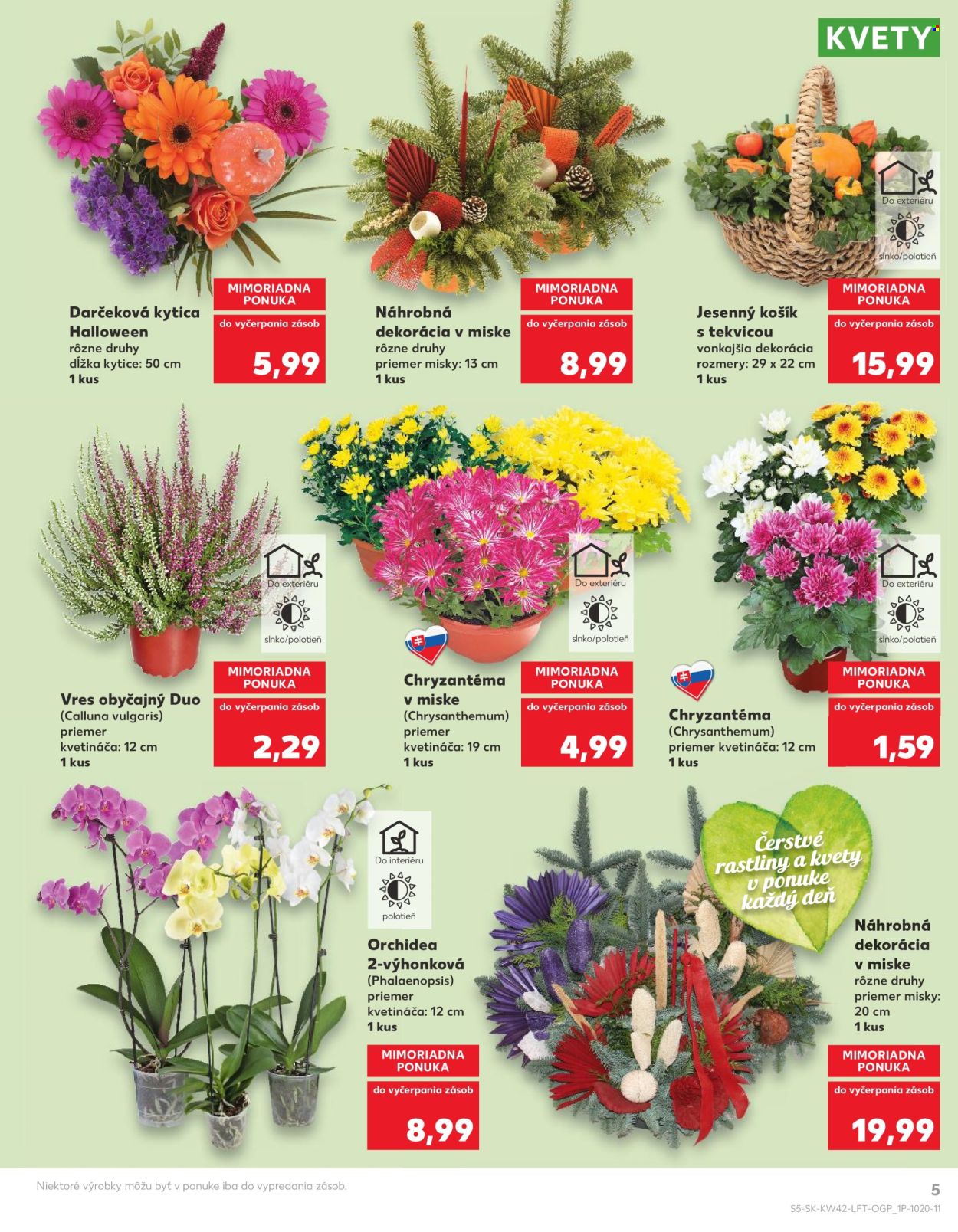 Leták Kaufland - 20.10.2022 - 26.10.2022. Strana 5