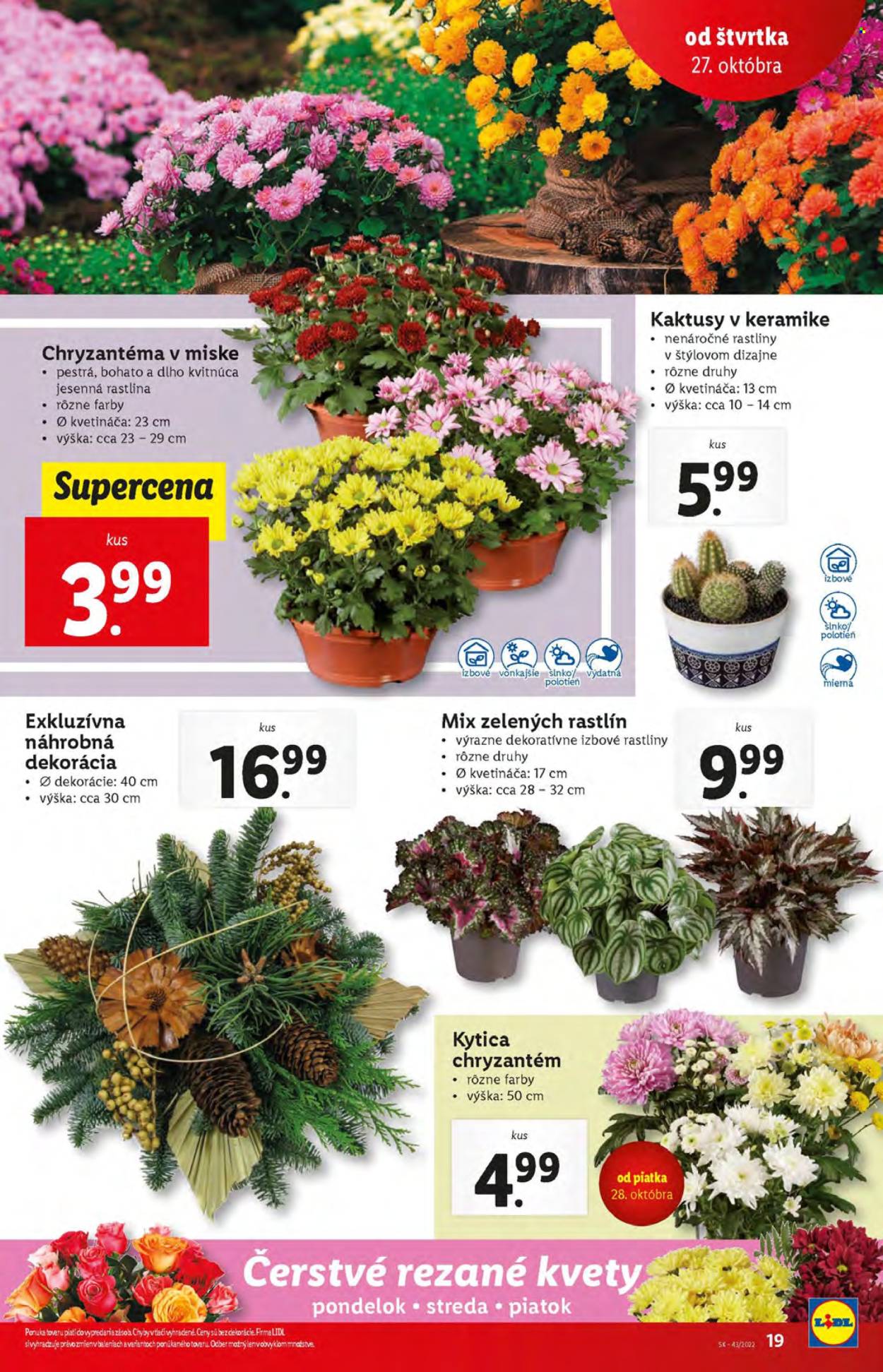 Leták Lidl - 27.10.2022 - 30.10.2022. Strana 19