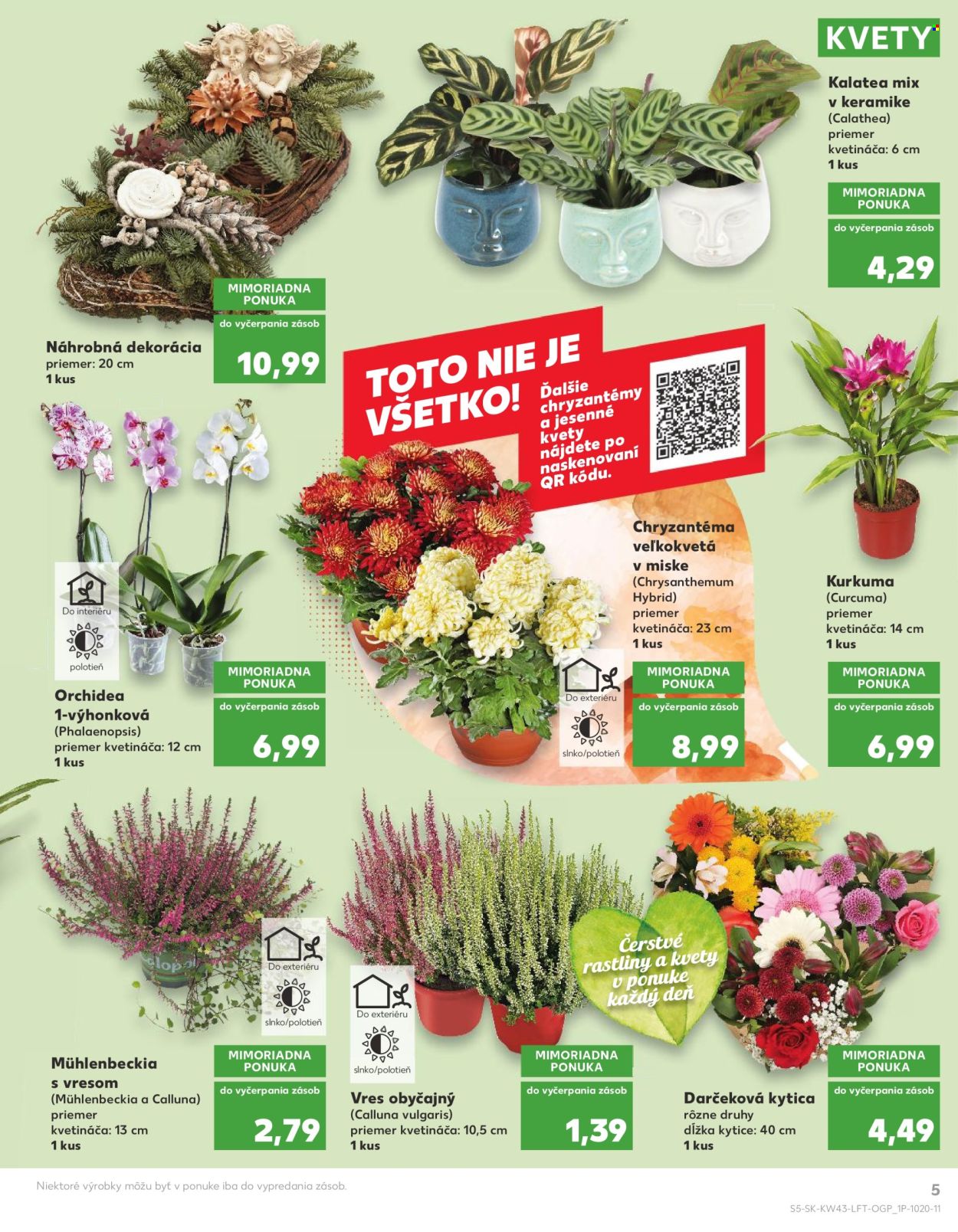 Leták Kaufland - 27.10.2022 - 2.11.2022. Strana 5
