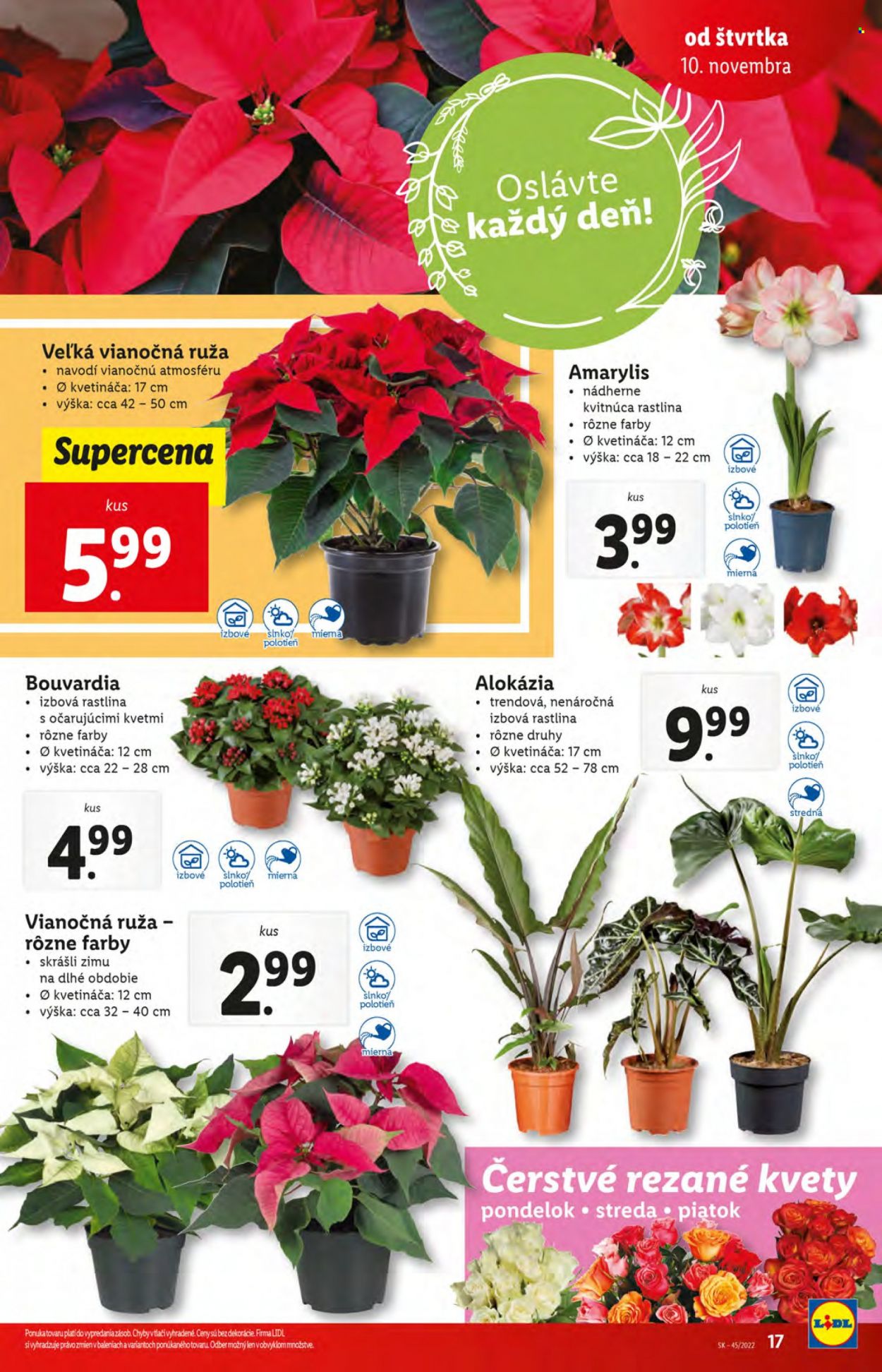 Leták Lidl - 10.11.2022 - 13.11.2022. Strana 17